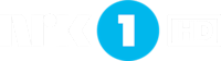 partner
