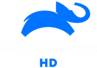Animal Planet HD
