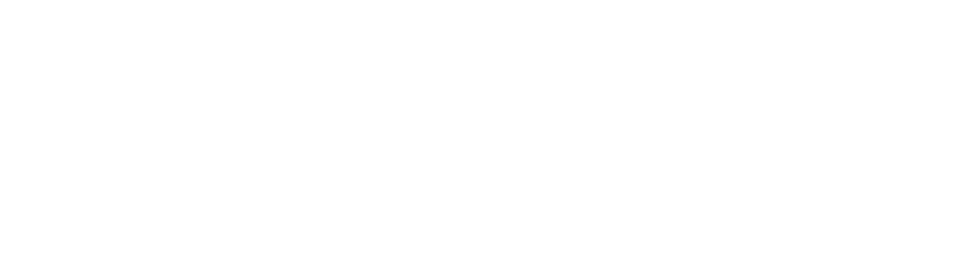 Kritic