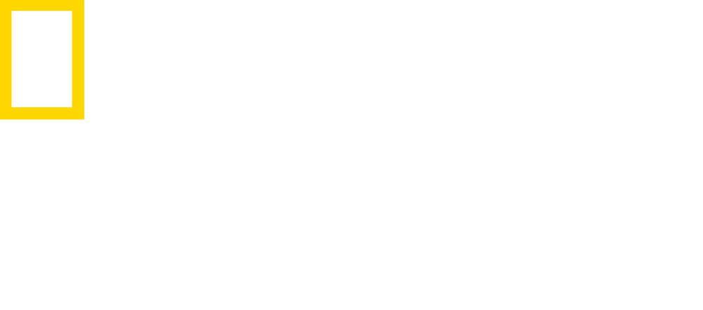 Nat Geo Wild HD 