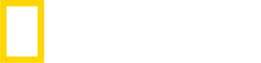 National Geographic Channel HD 