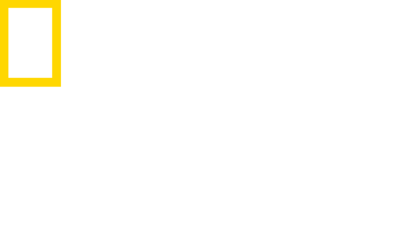 National Geographic Wild  