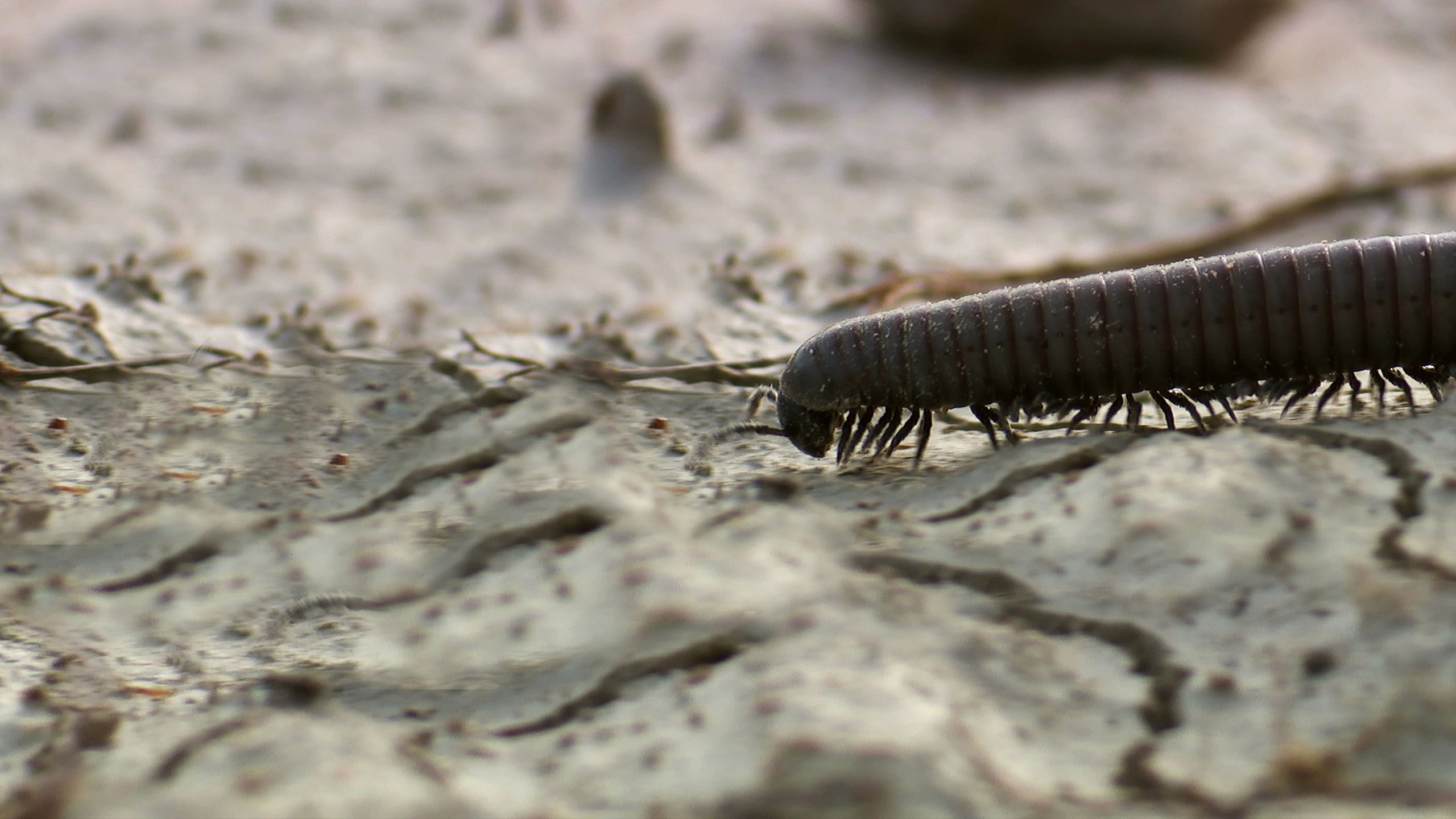 Europe's Largest Desert