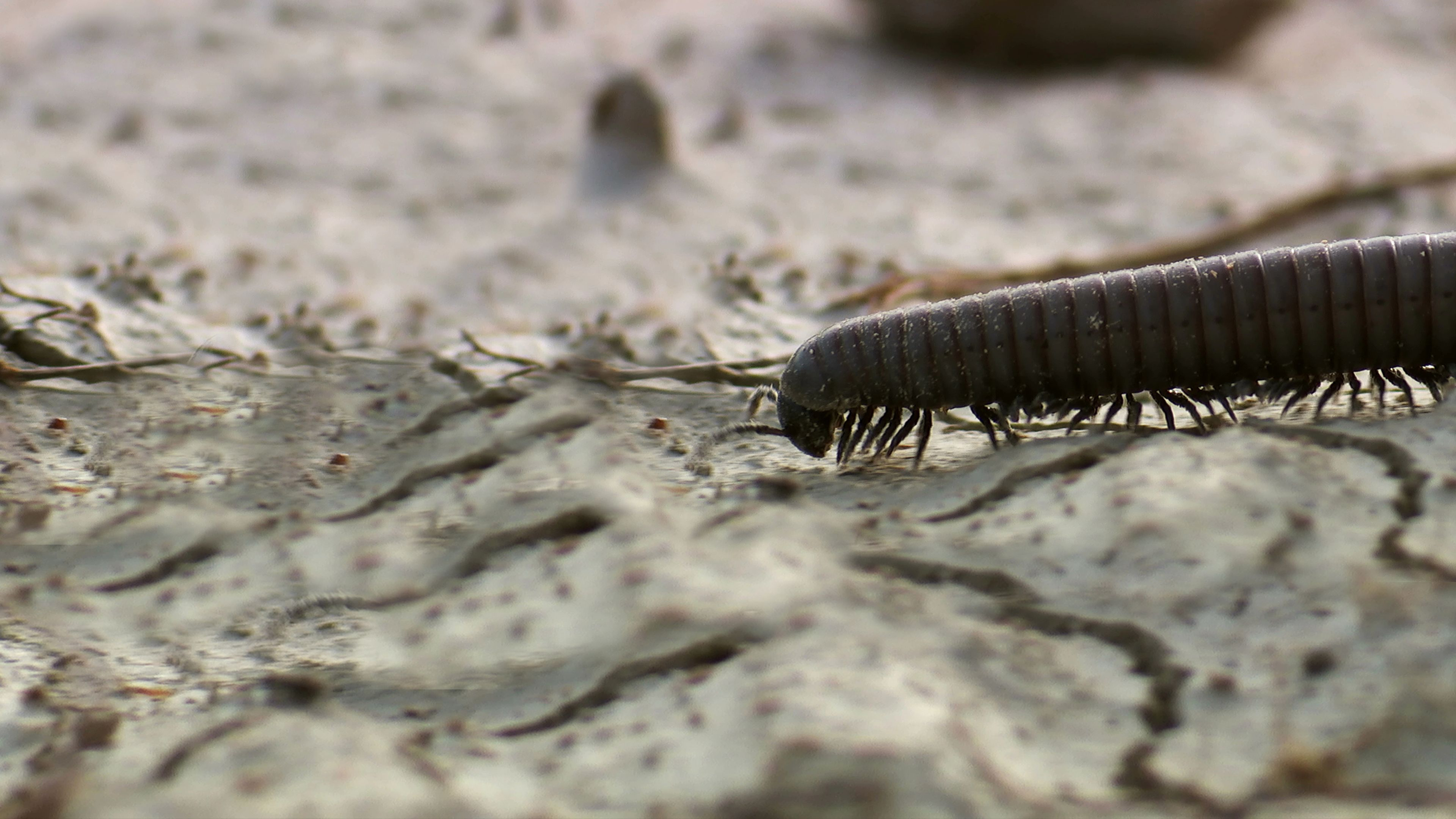 Europe's Largest Desert
