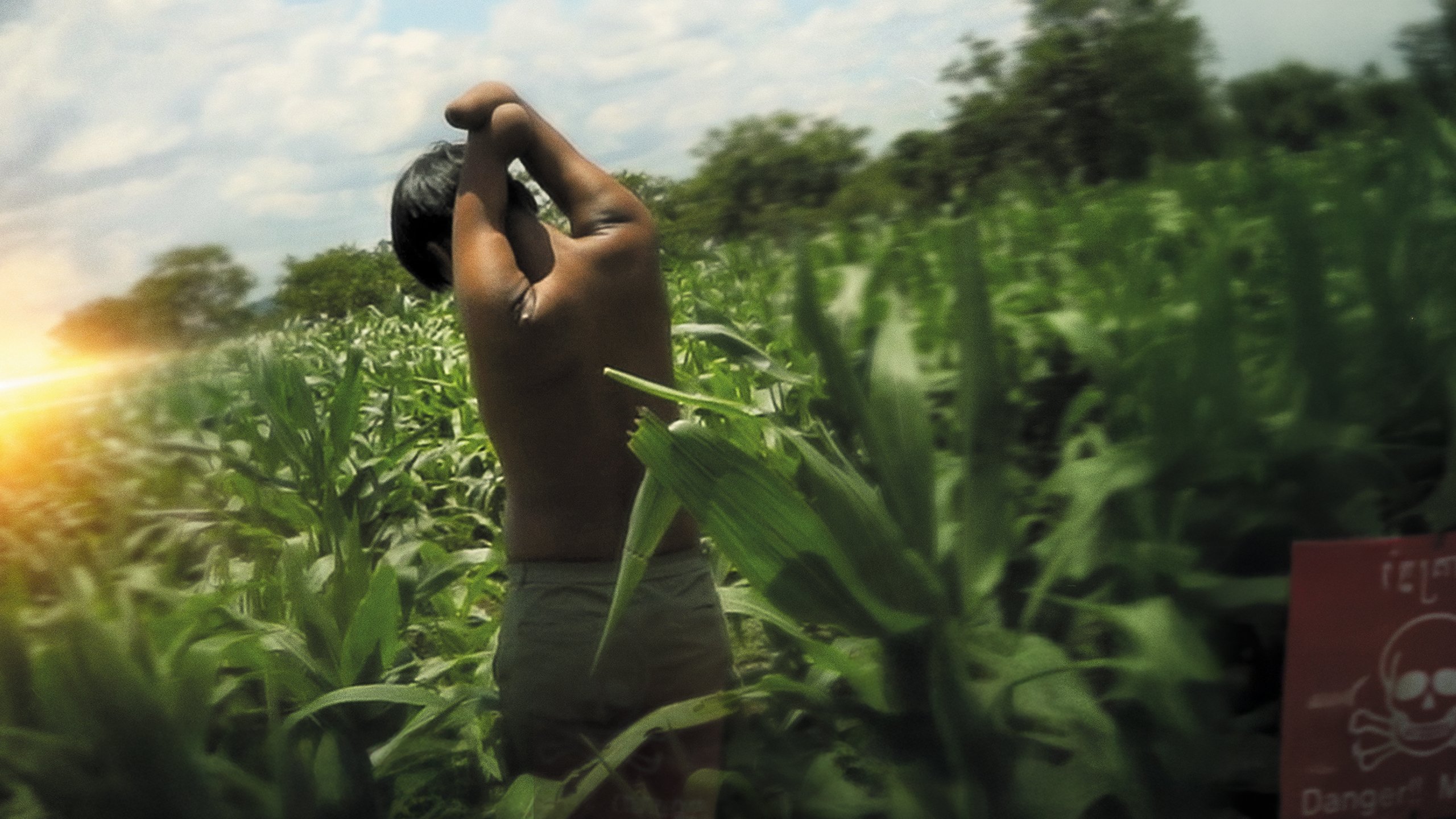 Dox: En ny början för min bror