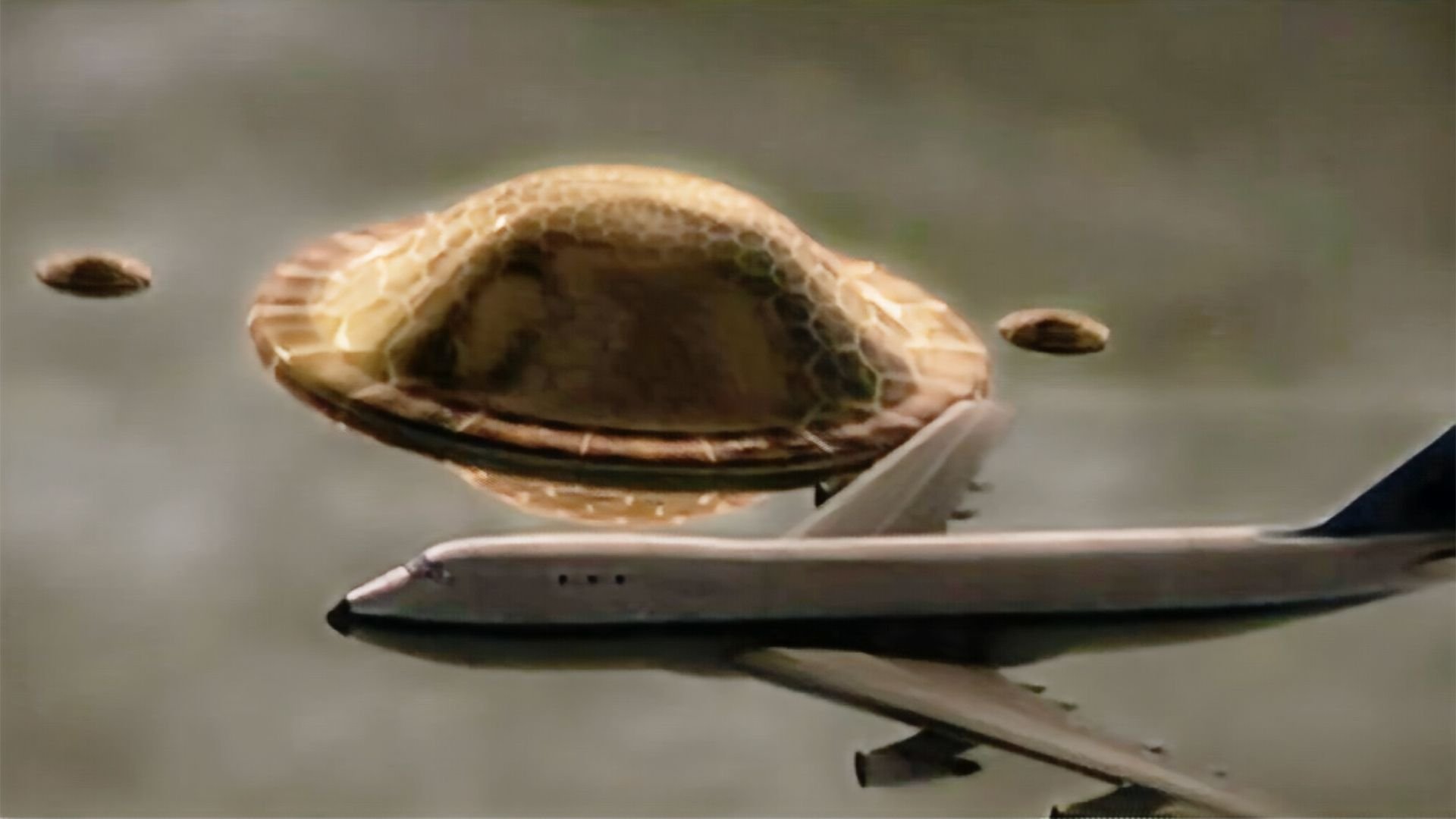 17. Black Box Ufo Secrets