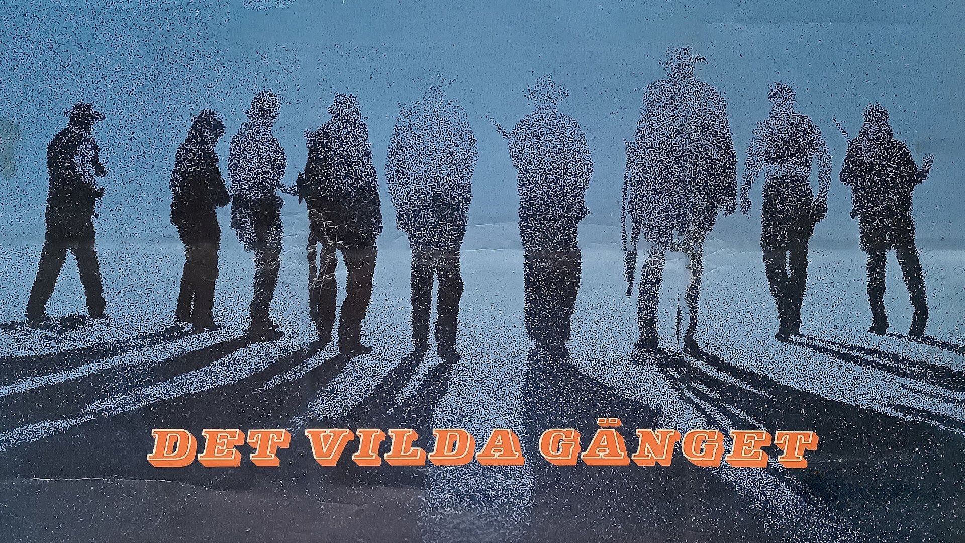 Det vilda gänget