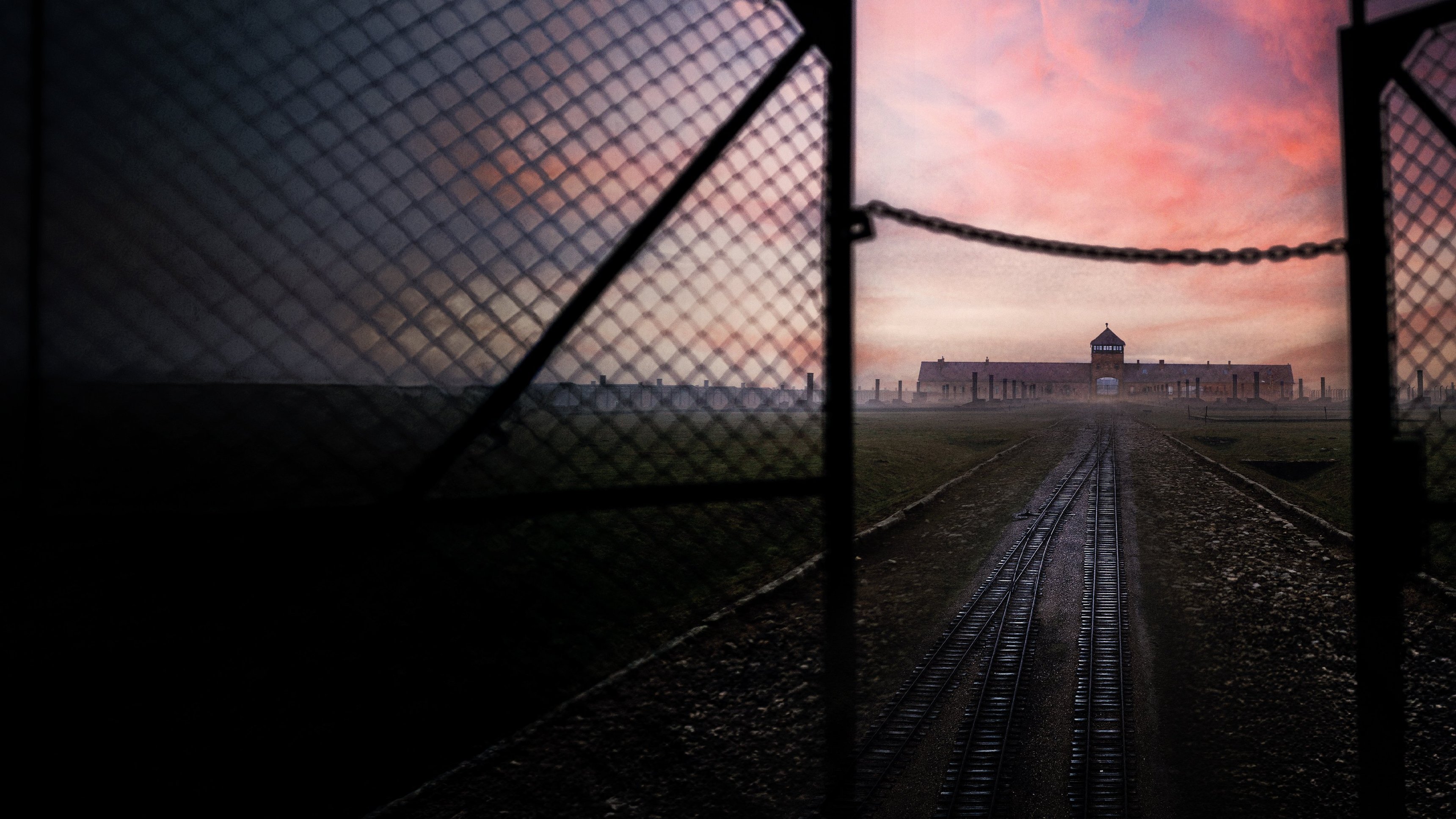 Auschwitz - Countdown To Liberation
