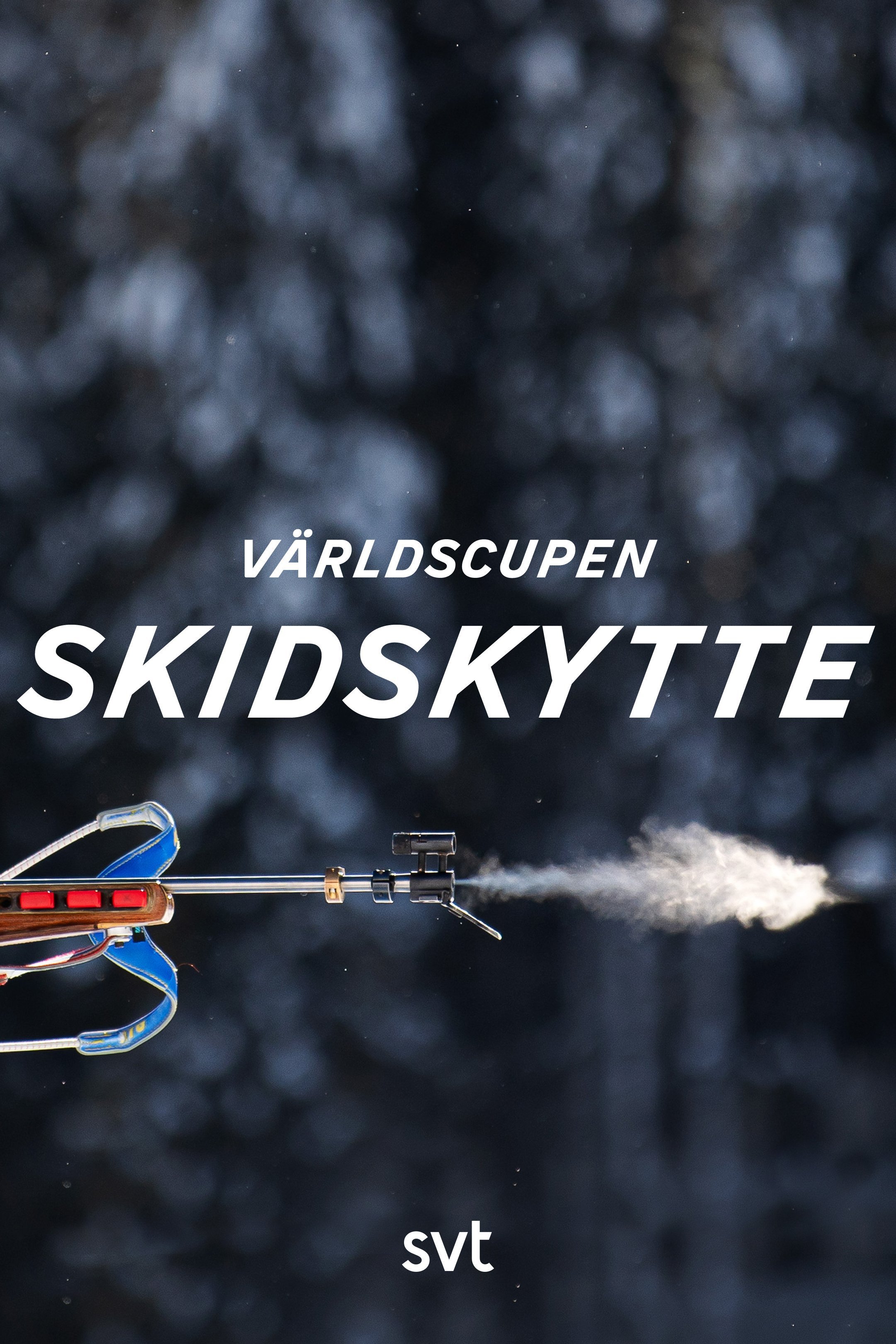 Skidskytte: Världscupen