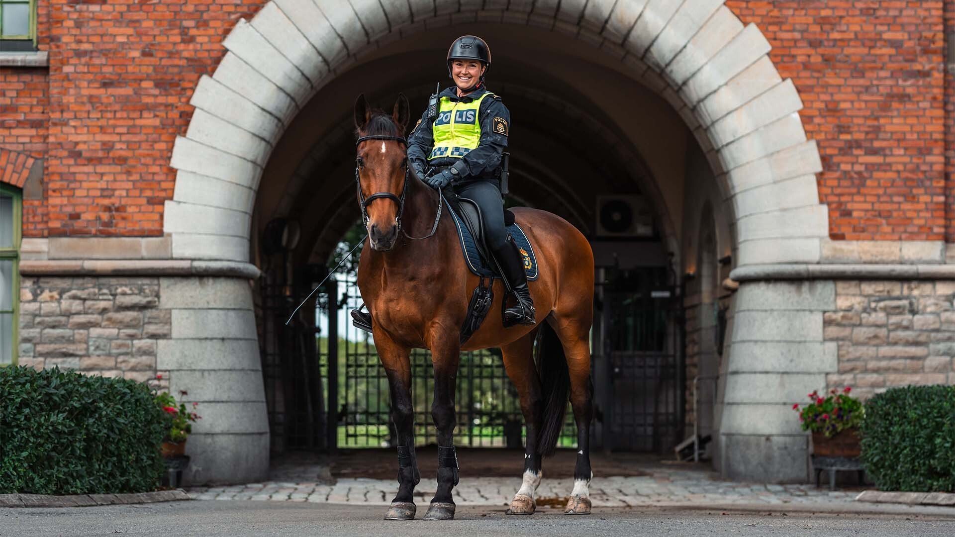 5. Polishästen Willy Wonka