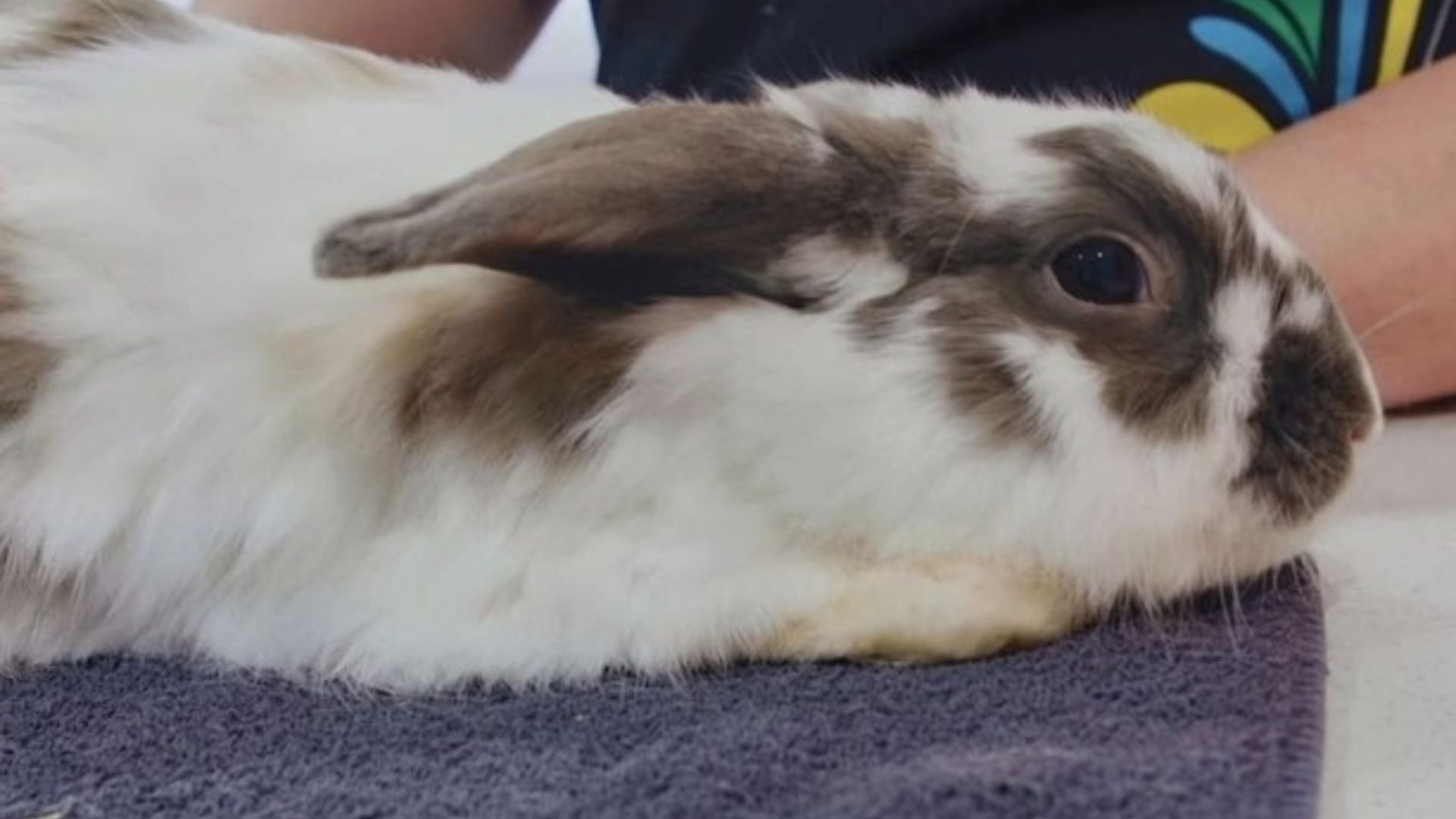 6. Drilling Up Clever Solutions