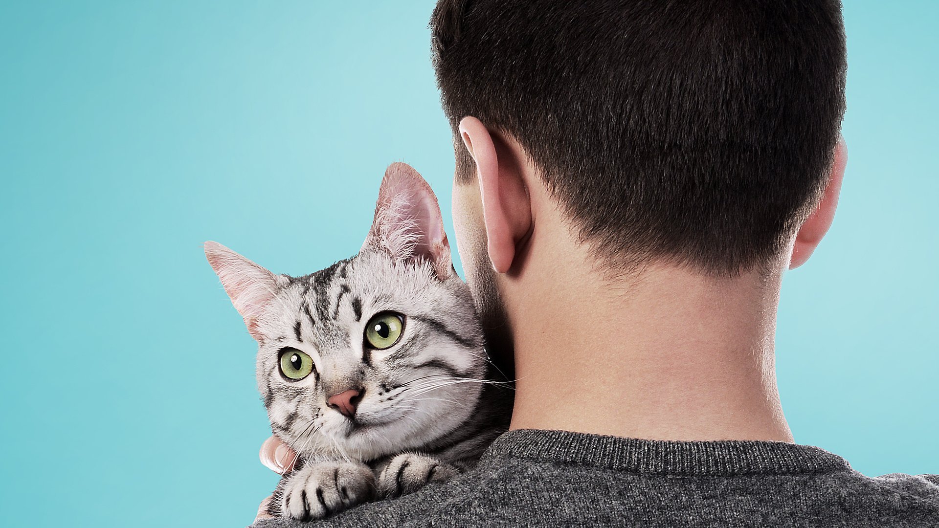 Cat Daddies