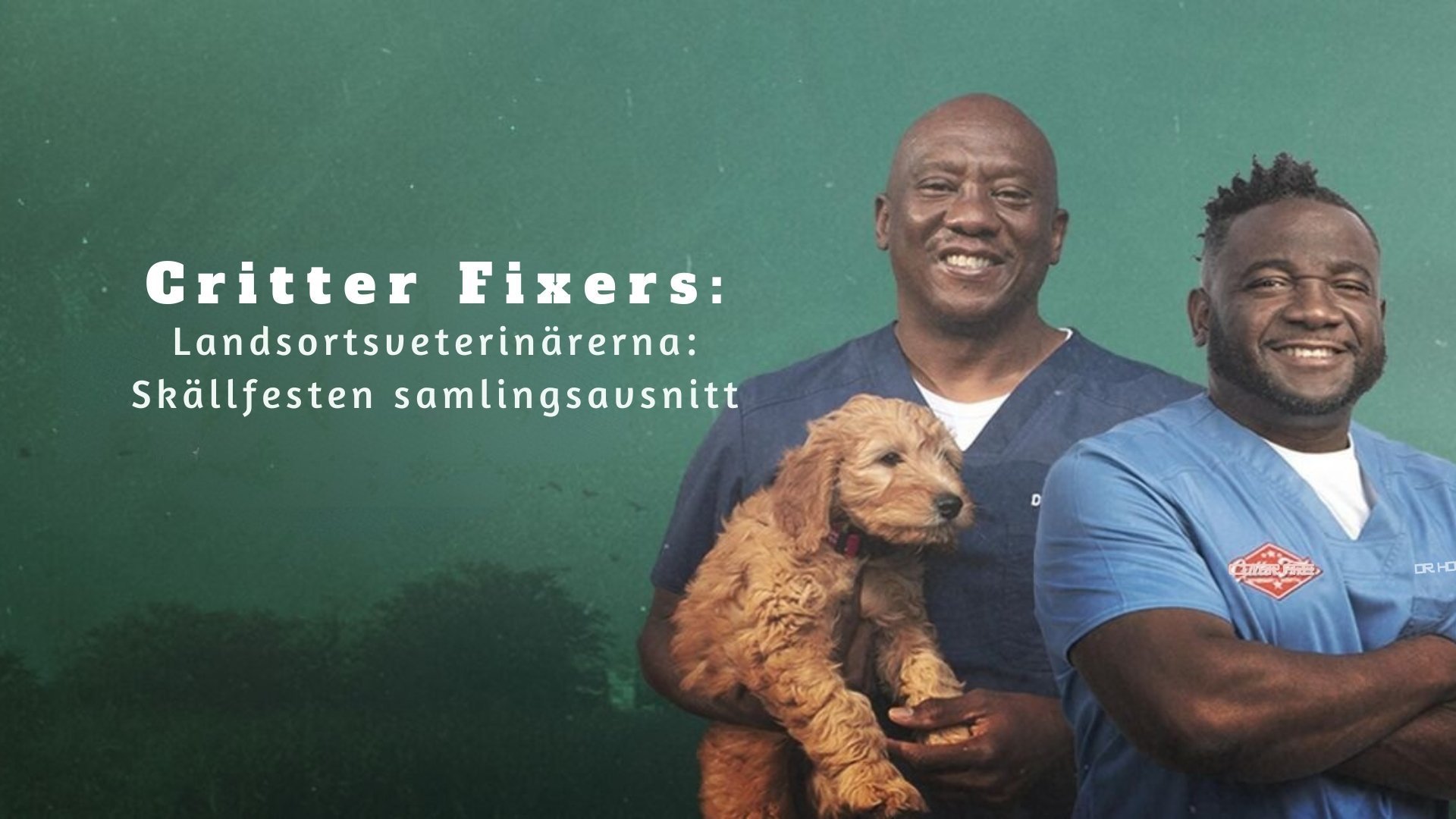 Critter Fixers: Landsortsveterinärerna: Skällfesten samlingsavsnitt