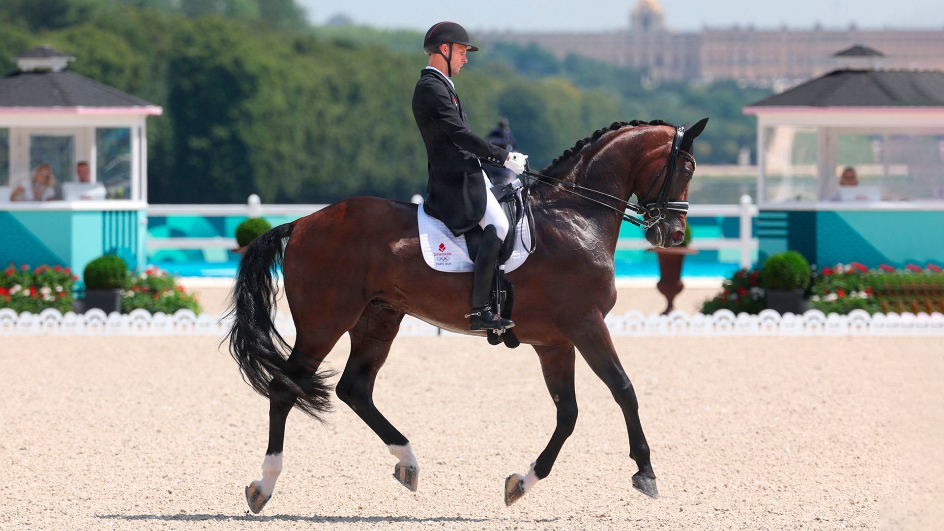 Equestrianism: World Dressage Championship
