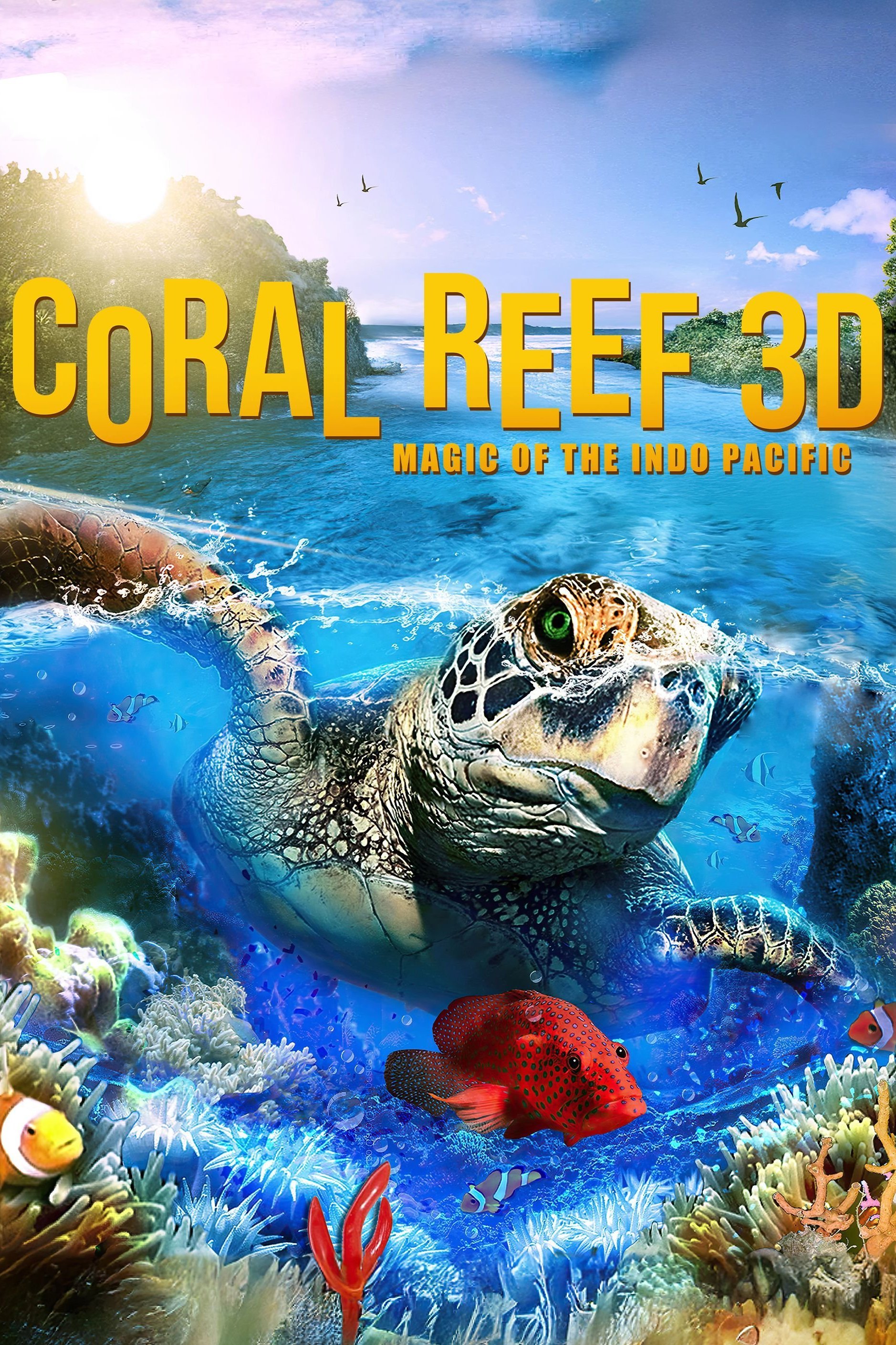 Coral Reef 3D: Magic of the Indo Pacific