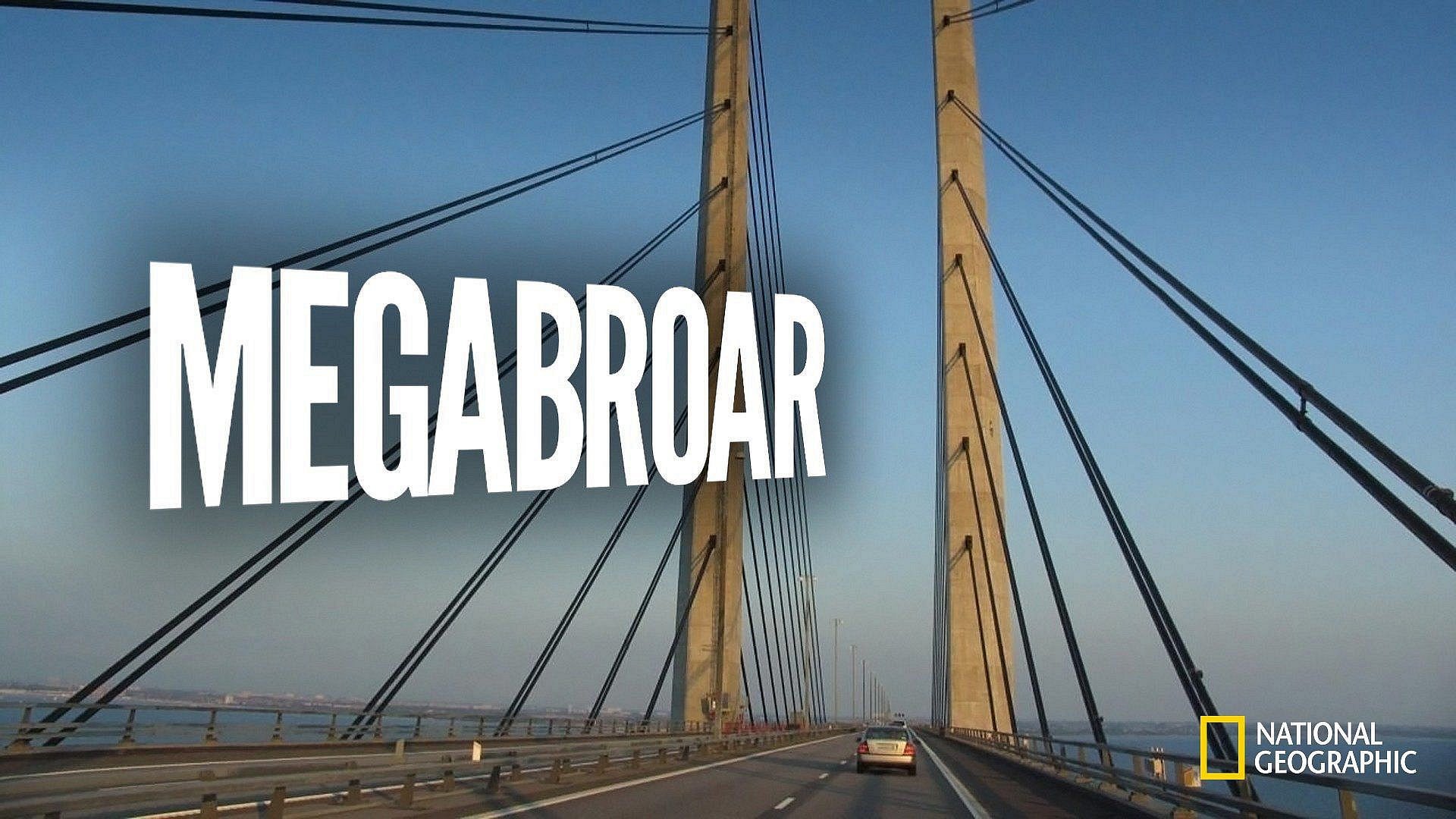 Megabroar