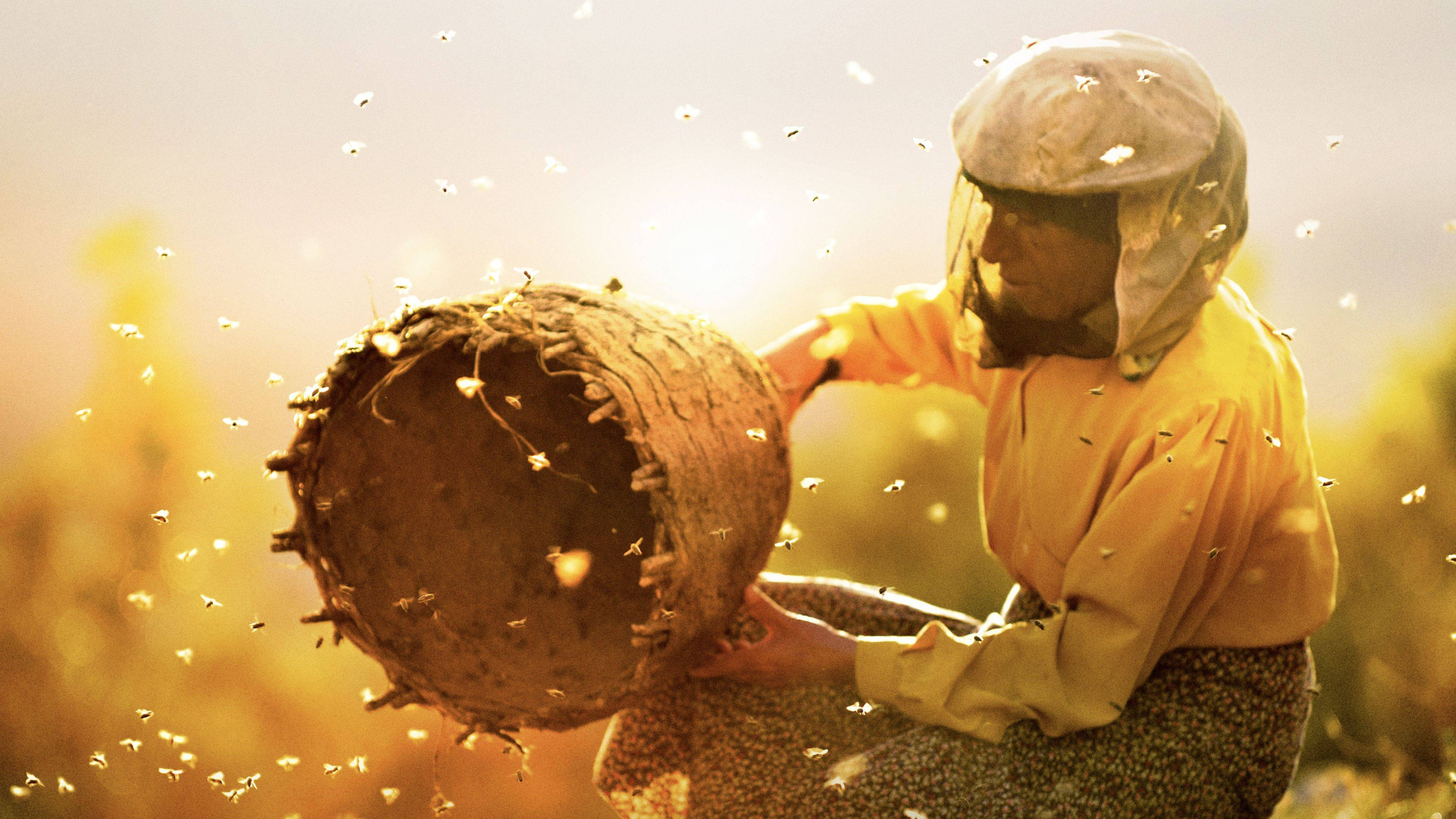 Honeyland