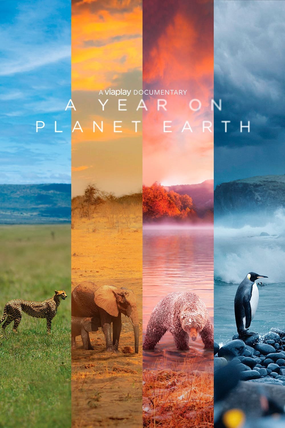 Ett år på planeten jorden
