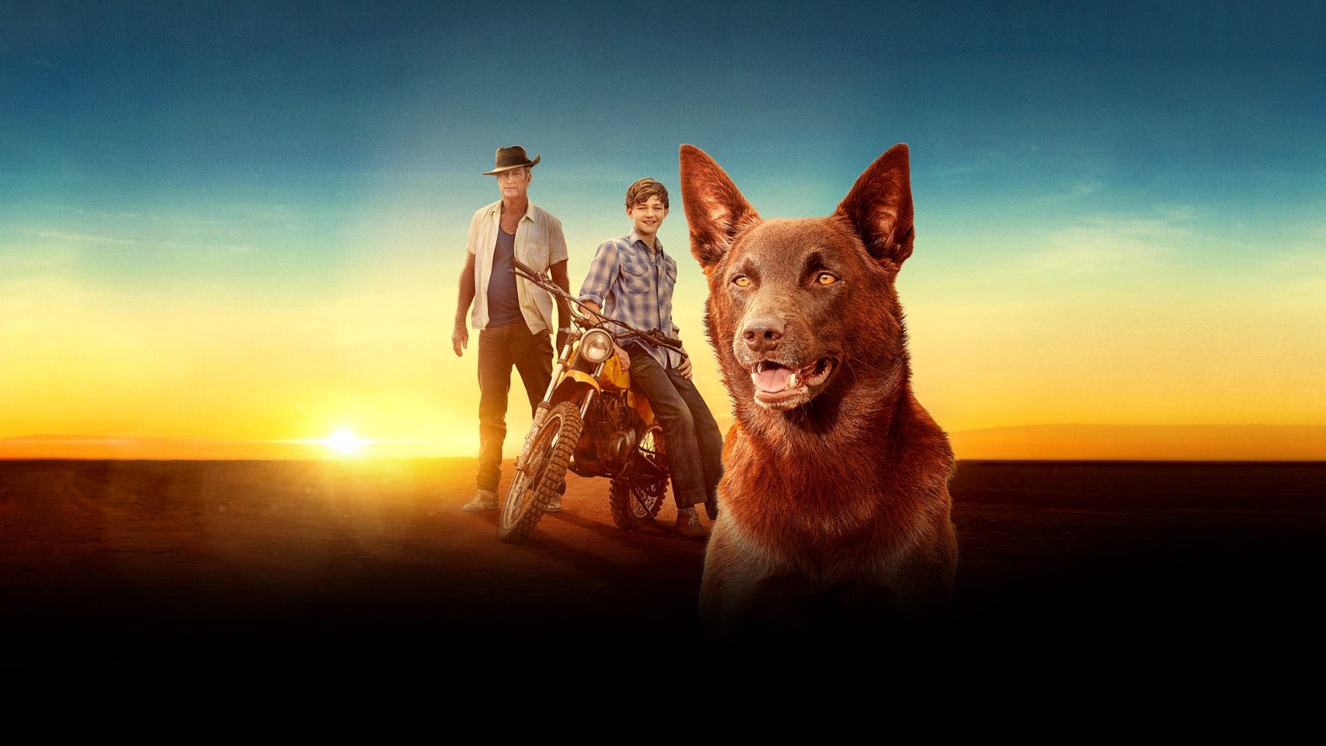Red Dog: True Blue