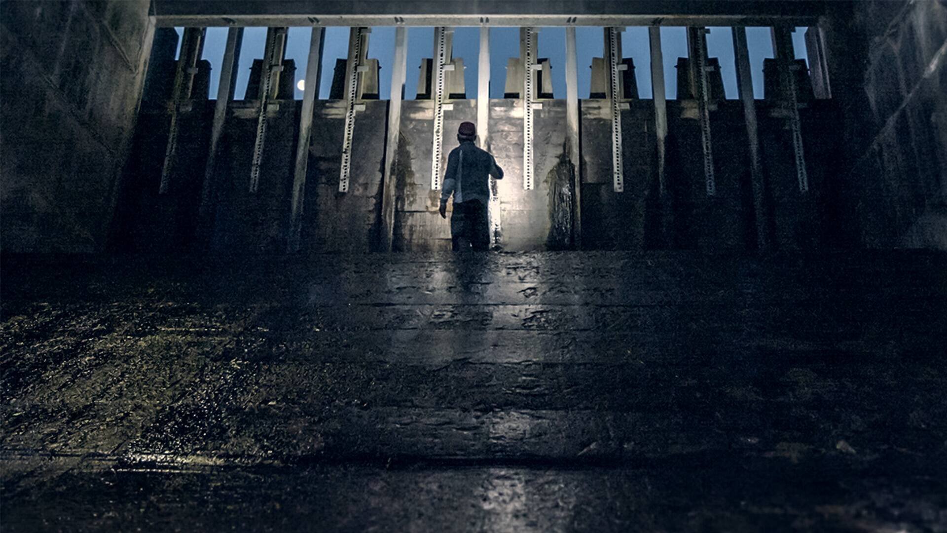 Uppdrag granskning: The last eel