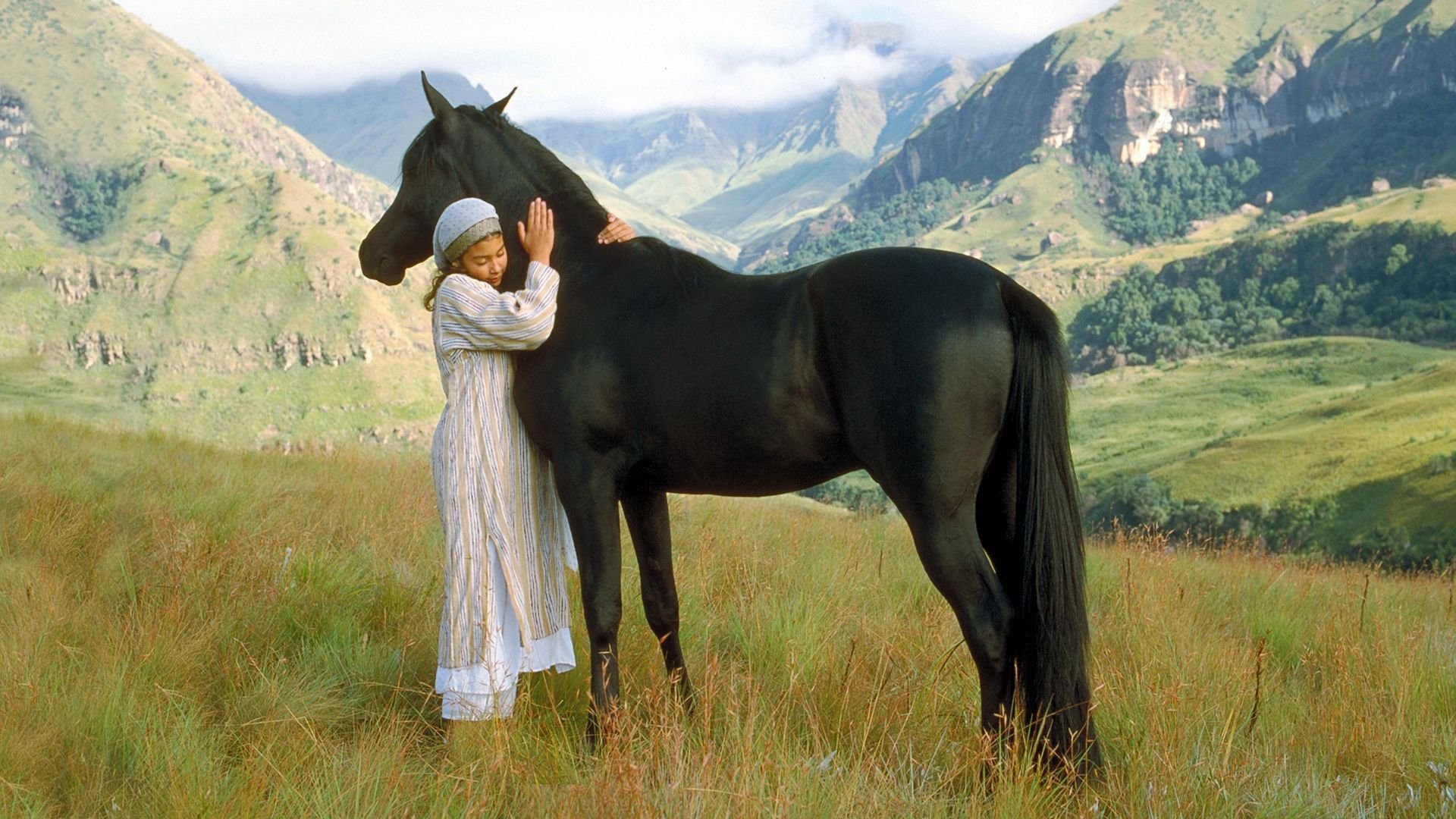 The Young Black Stallion