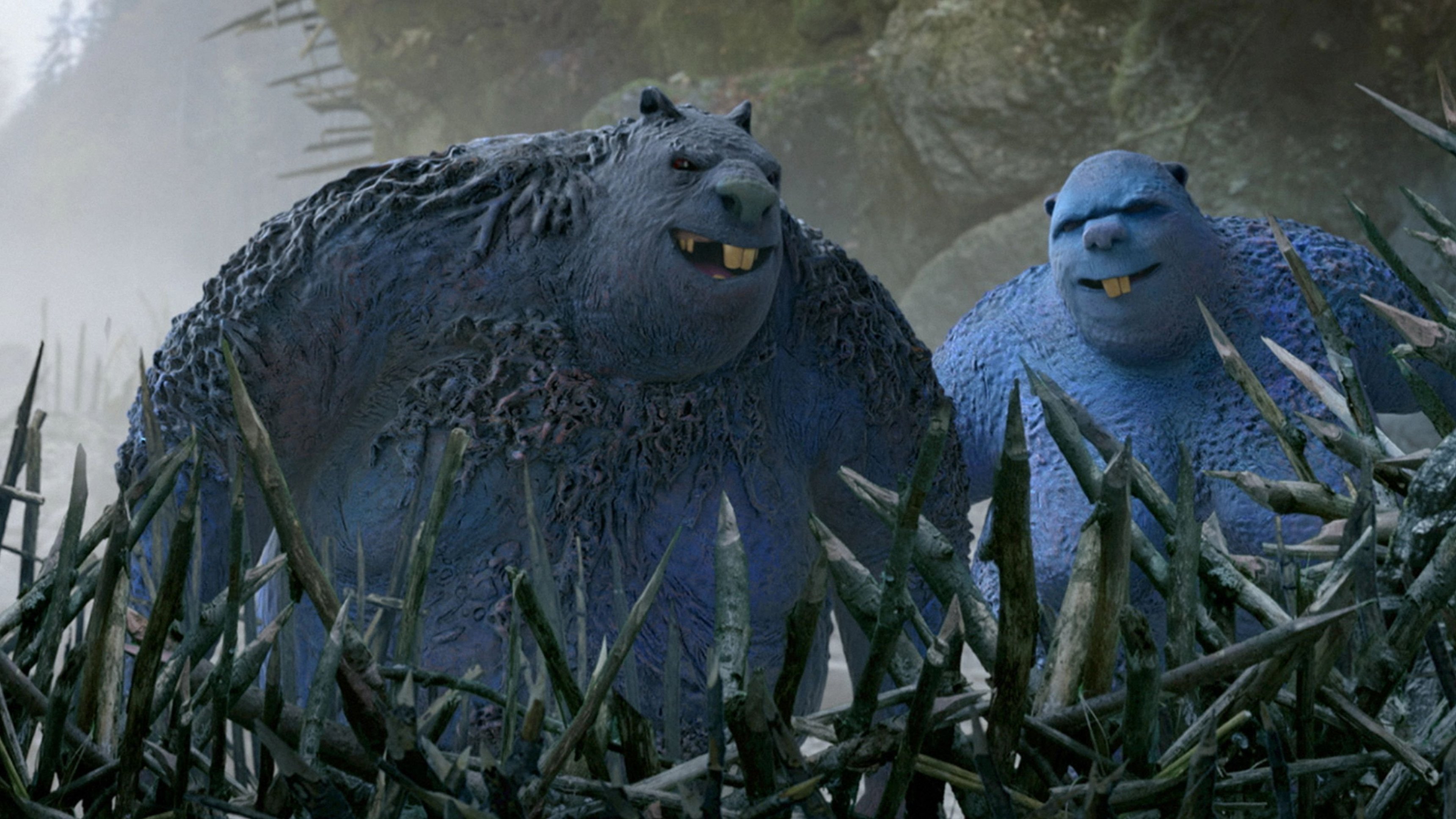 The Fox and the Bird