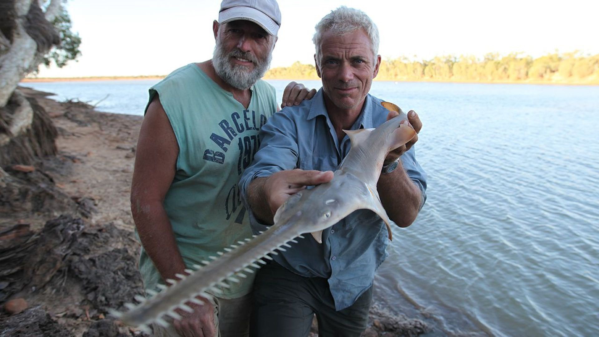 4. Rovdjur med motorsåg