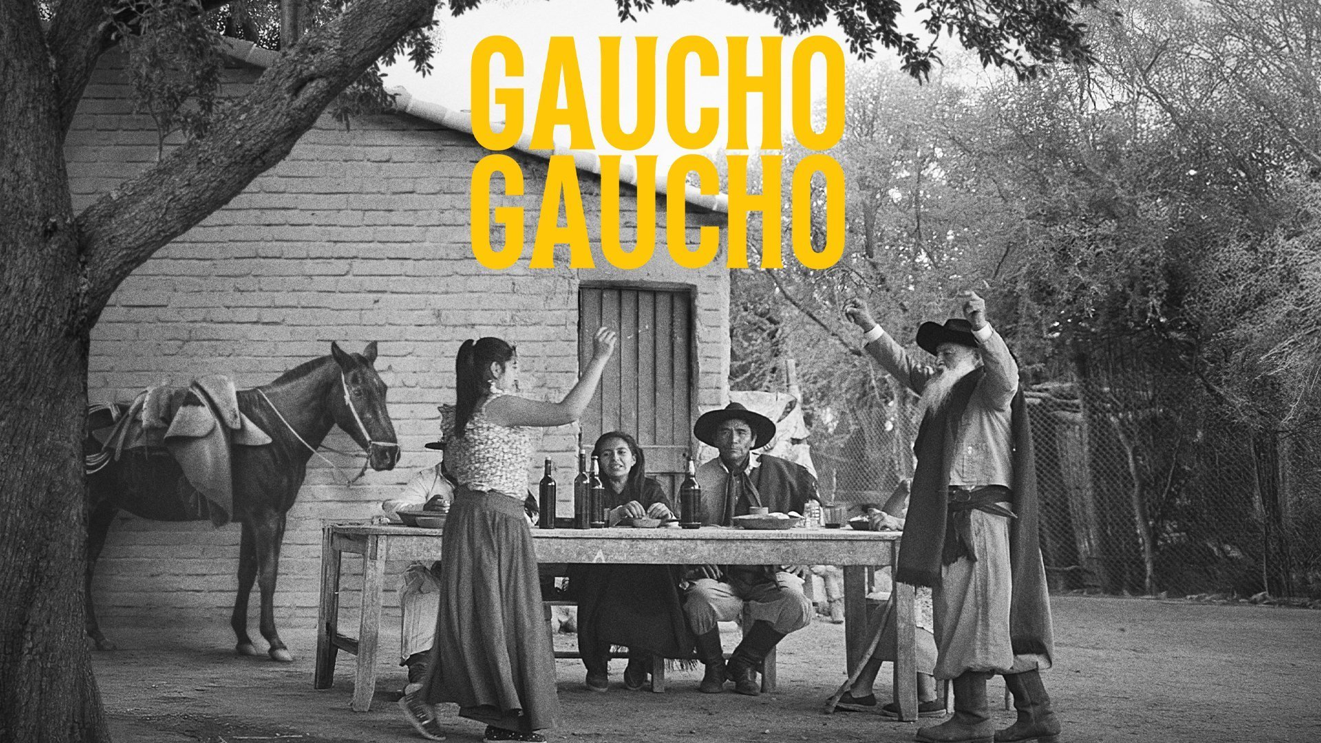 Gaucho Gaucho