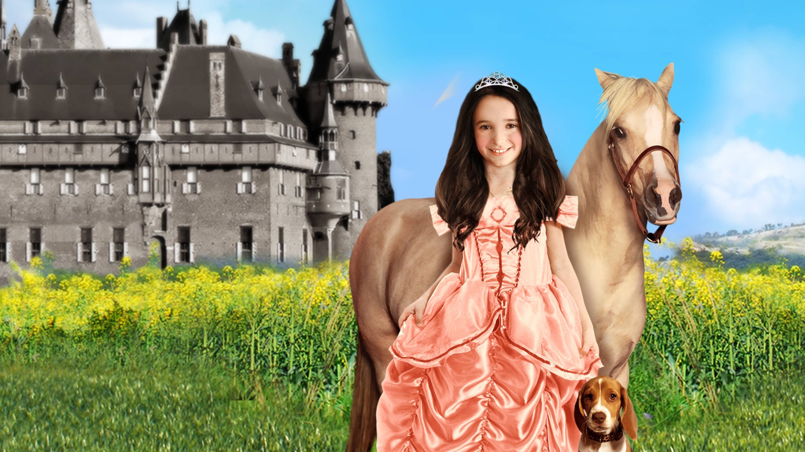 Princess and the Pony