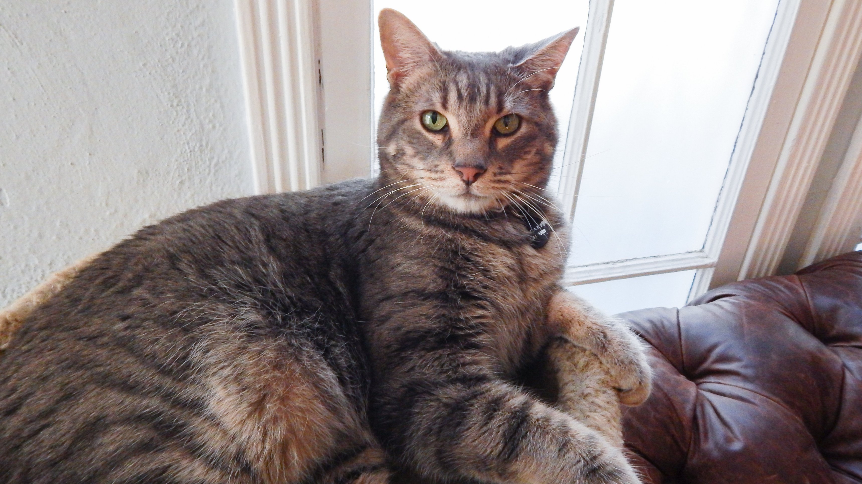 14. Multi-Million Dollar Nightmare