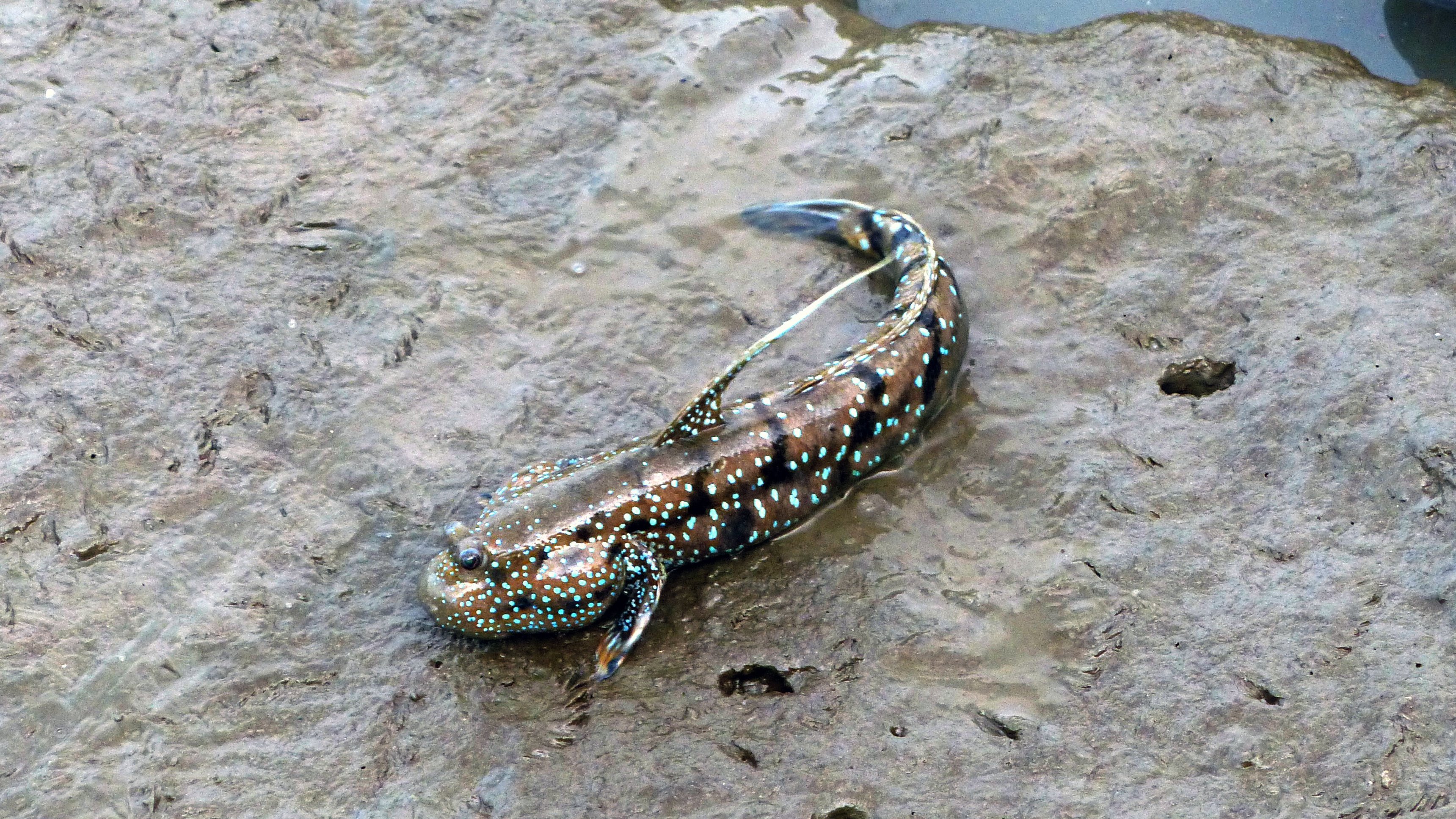 40. The Secret To A Long Life