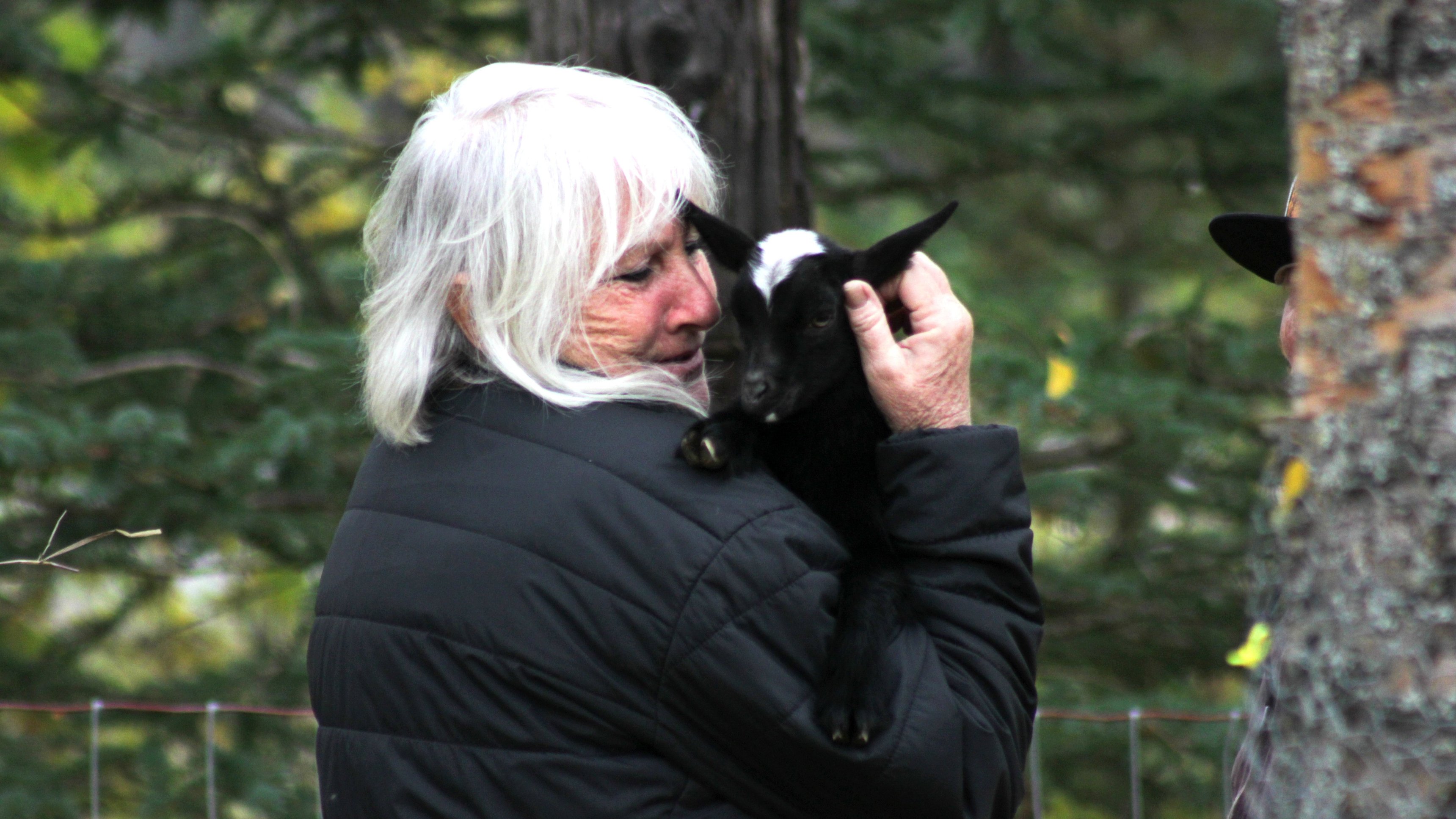 6. Stairway To Heaven