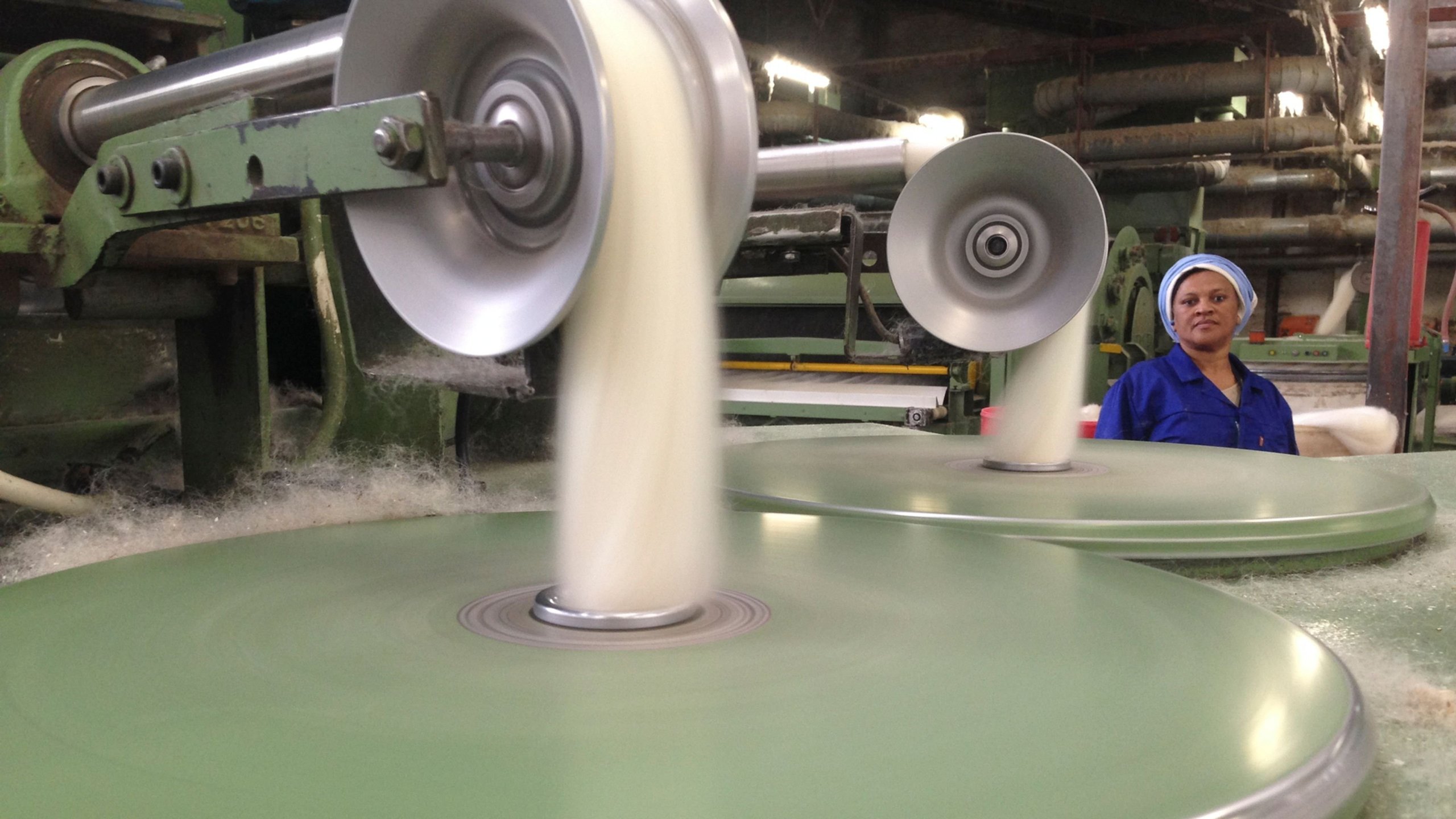 17. Mohair, Quadskis and The Harp