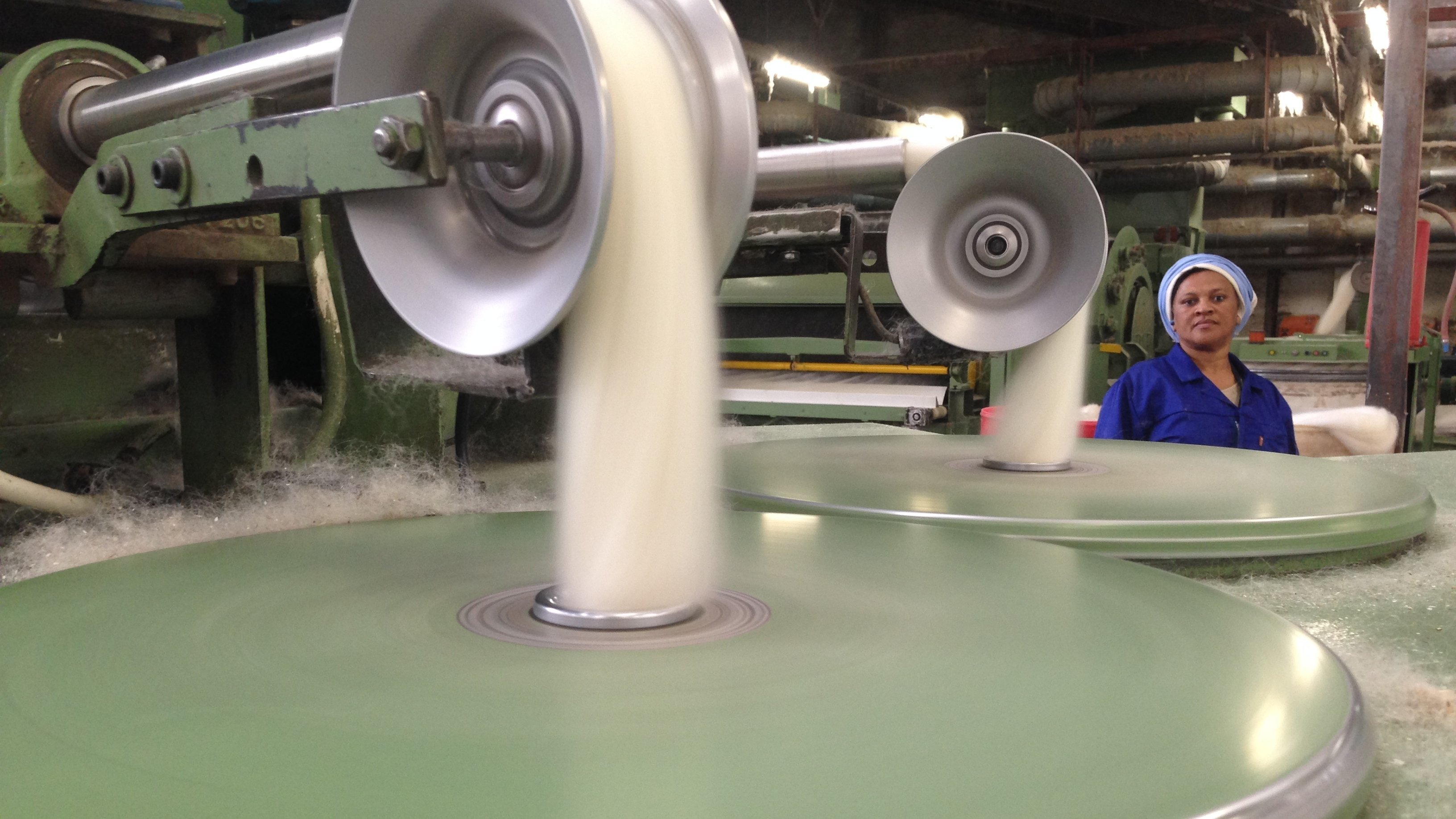 17. Mohair, Quadskis and The Harp