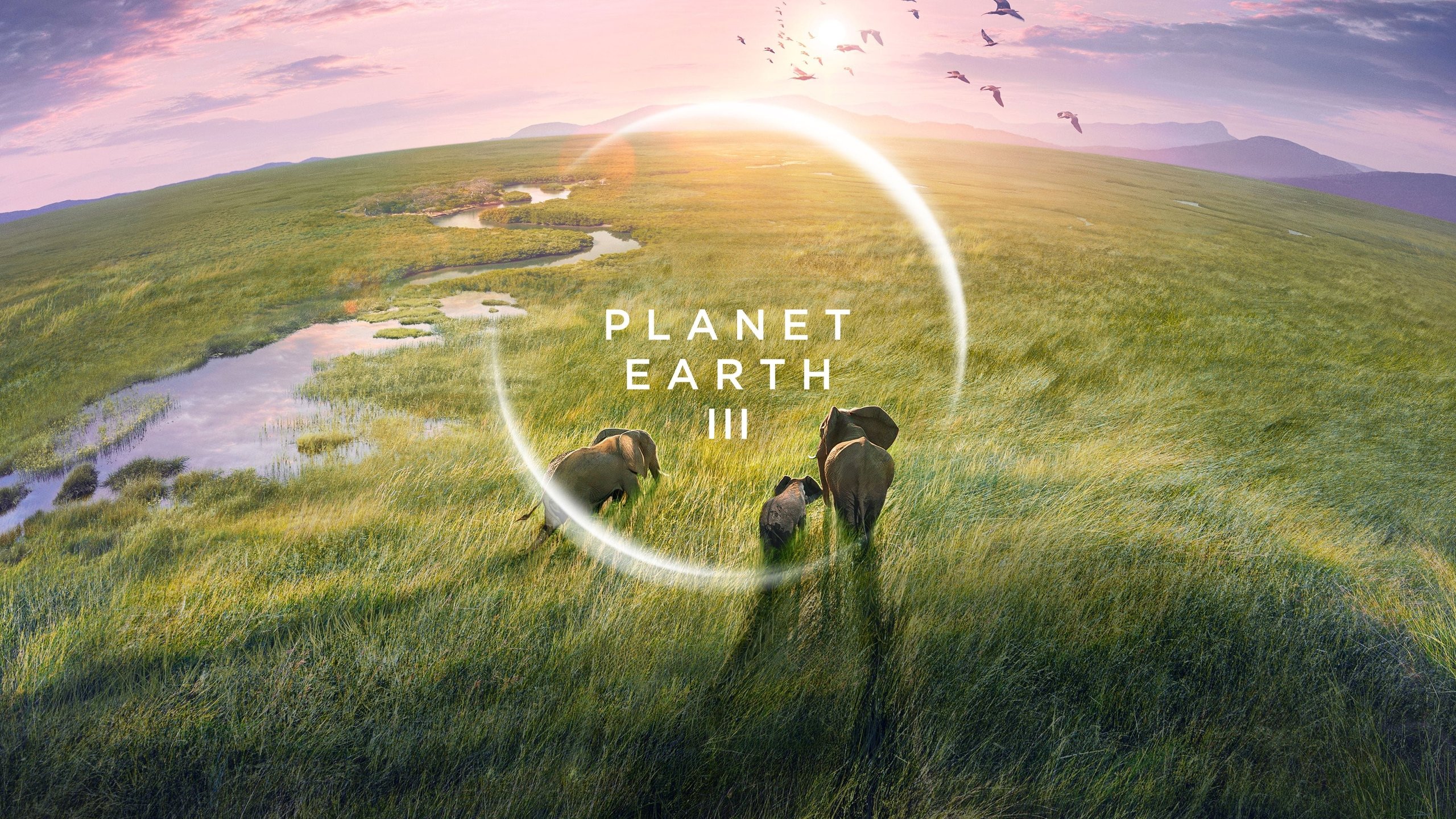 Planet Earth III