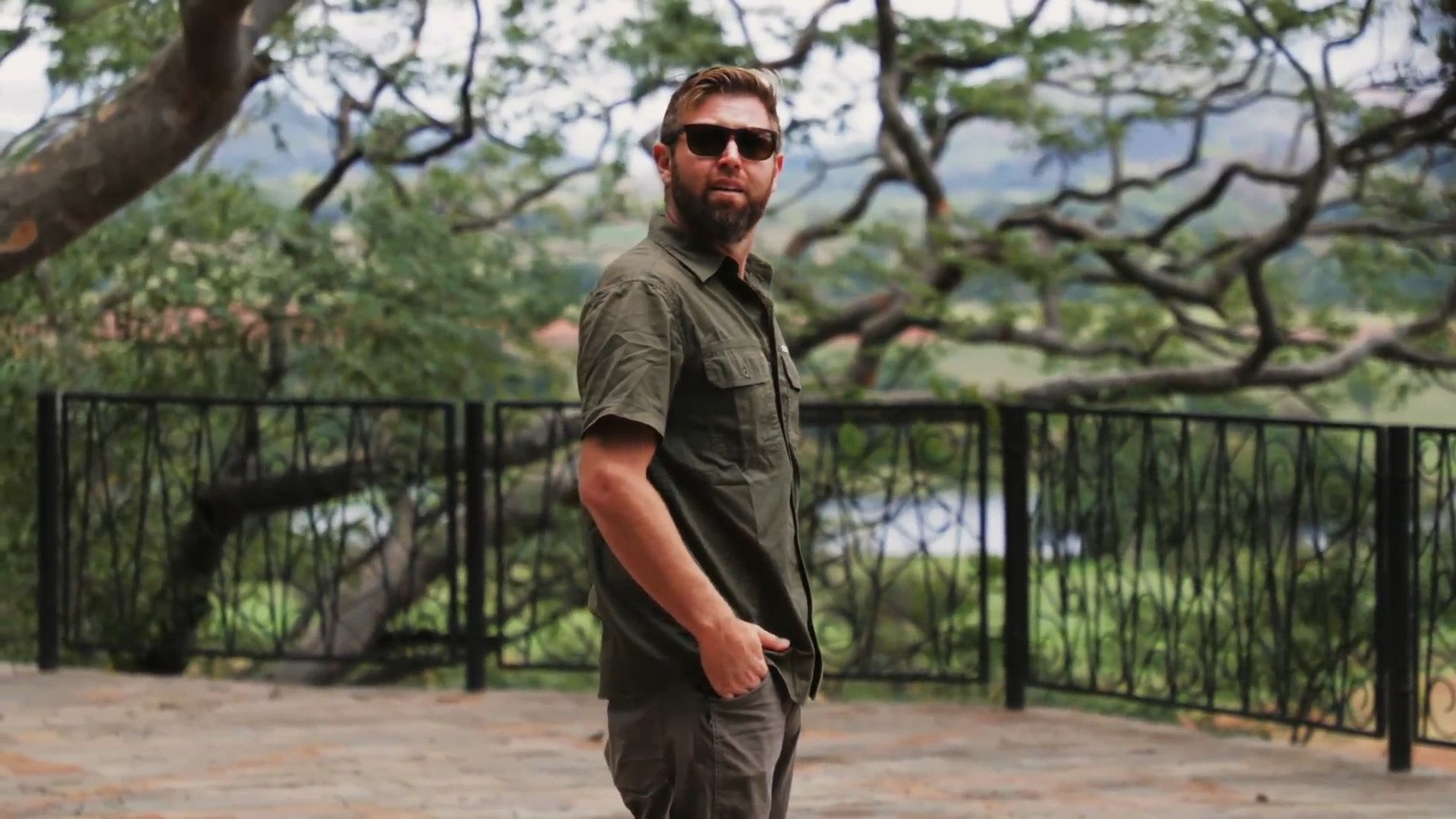 3. The Legendary Cape Lion