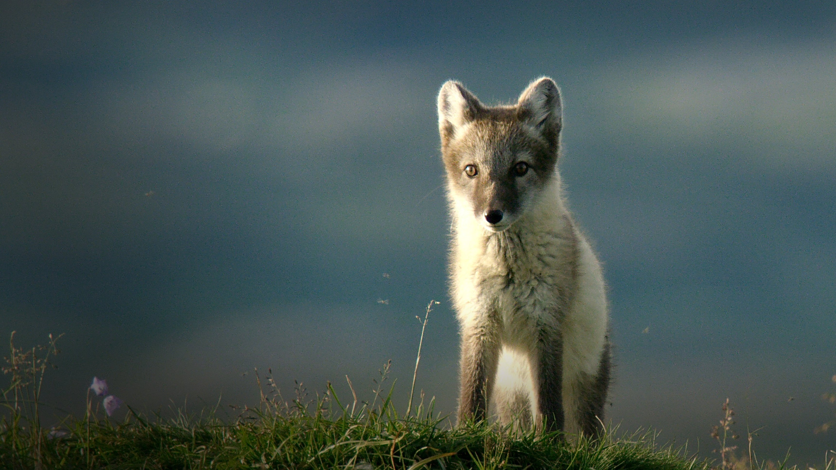 Världens natur: Mitt Sverige