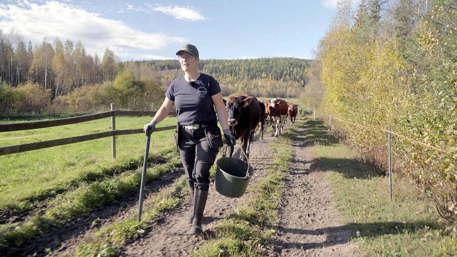 Brytningstid