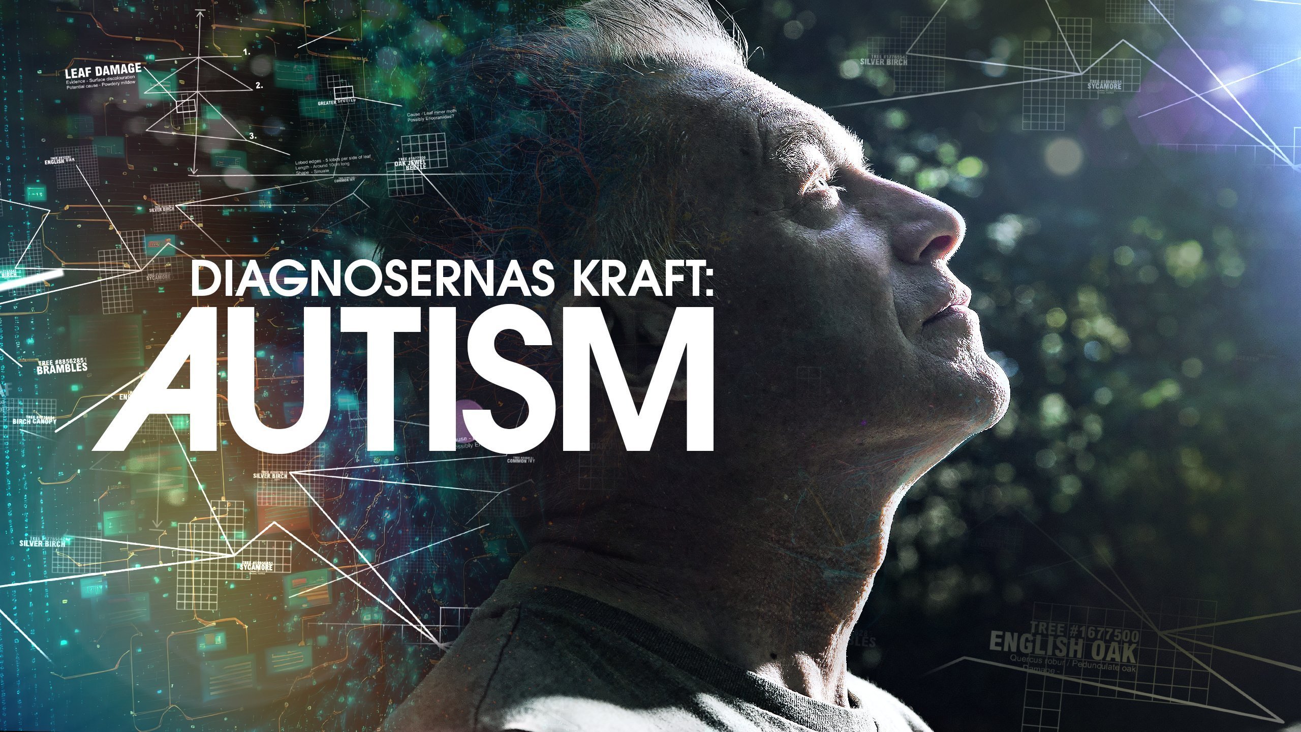 Autismens värld