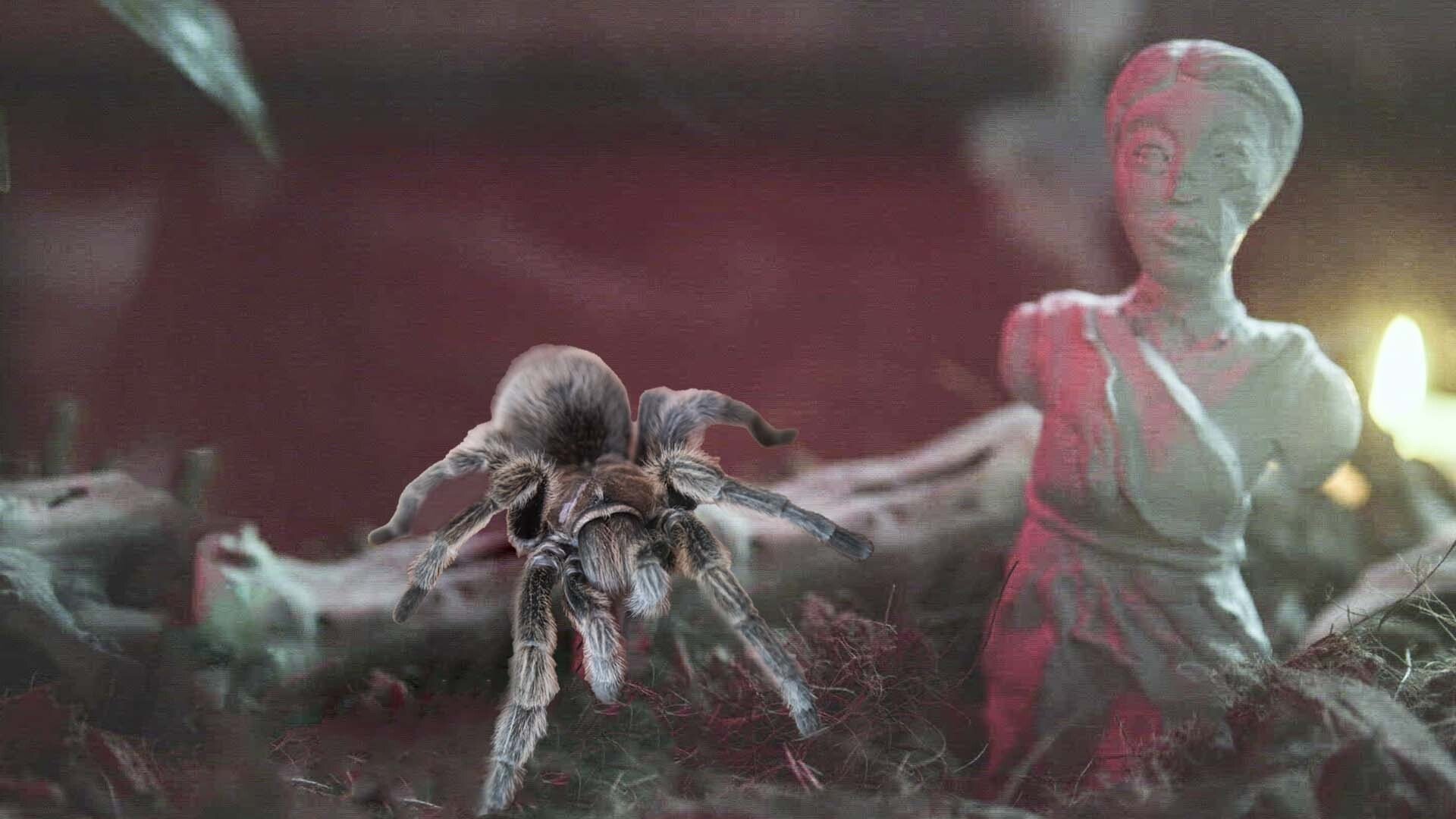 3. Eight-Legged Exorcism