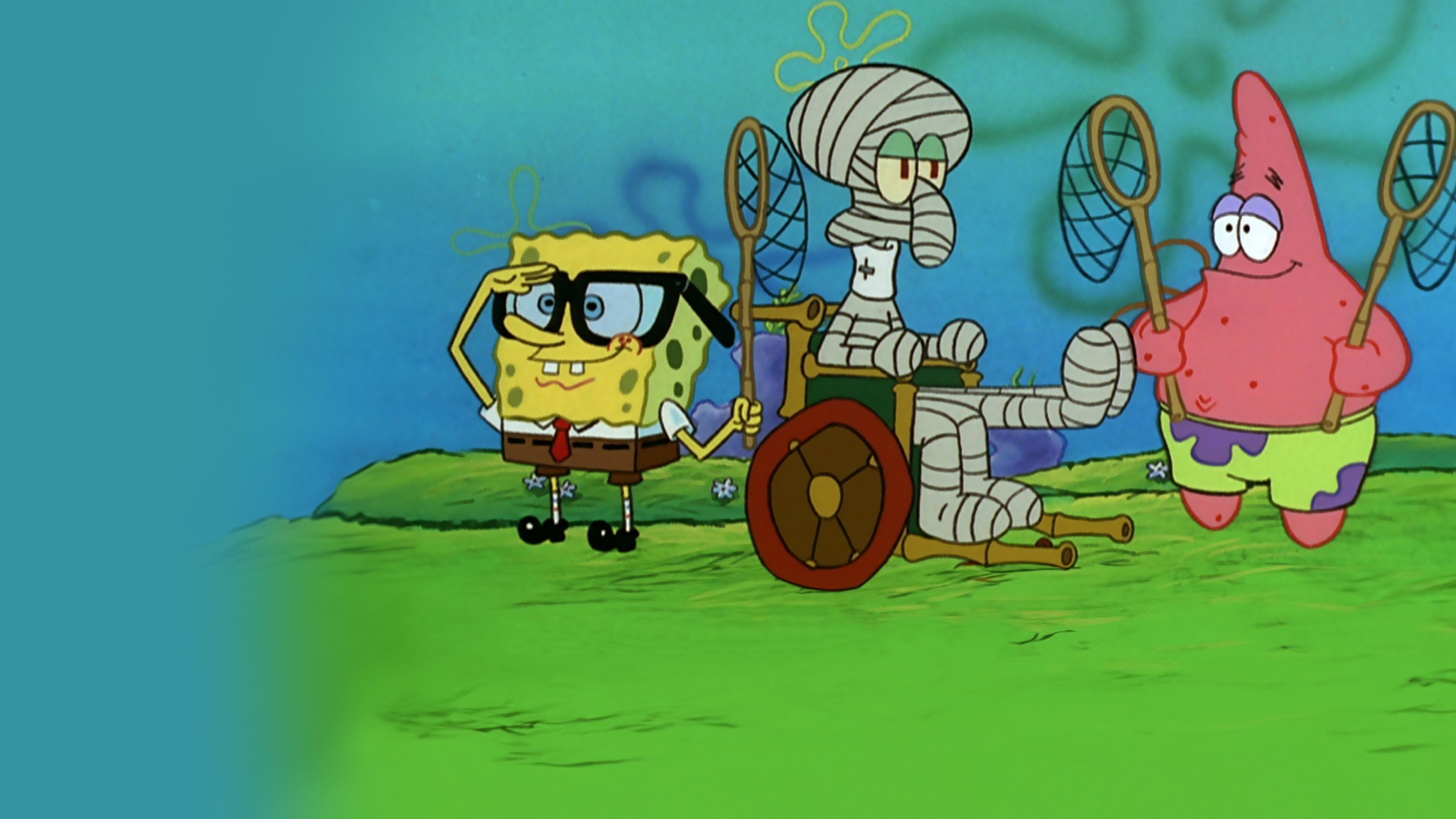 3. Manetfiske / Plankton