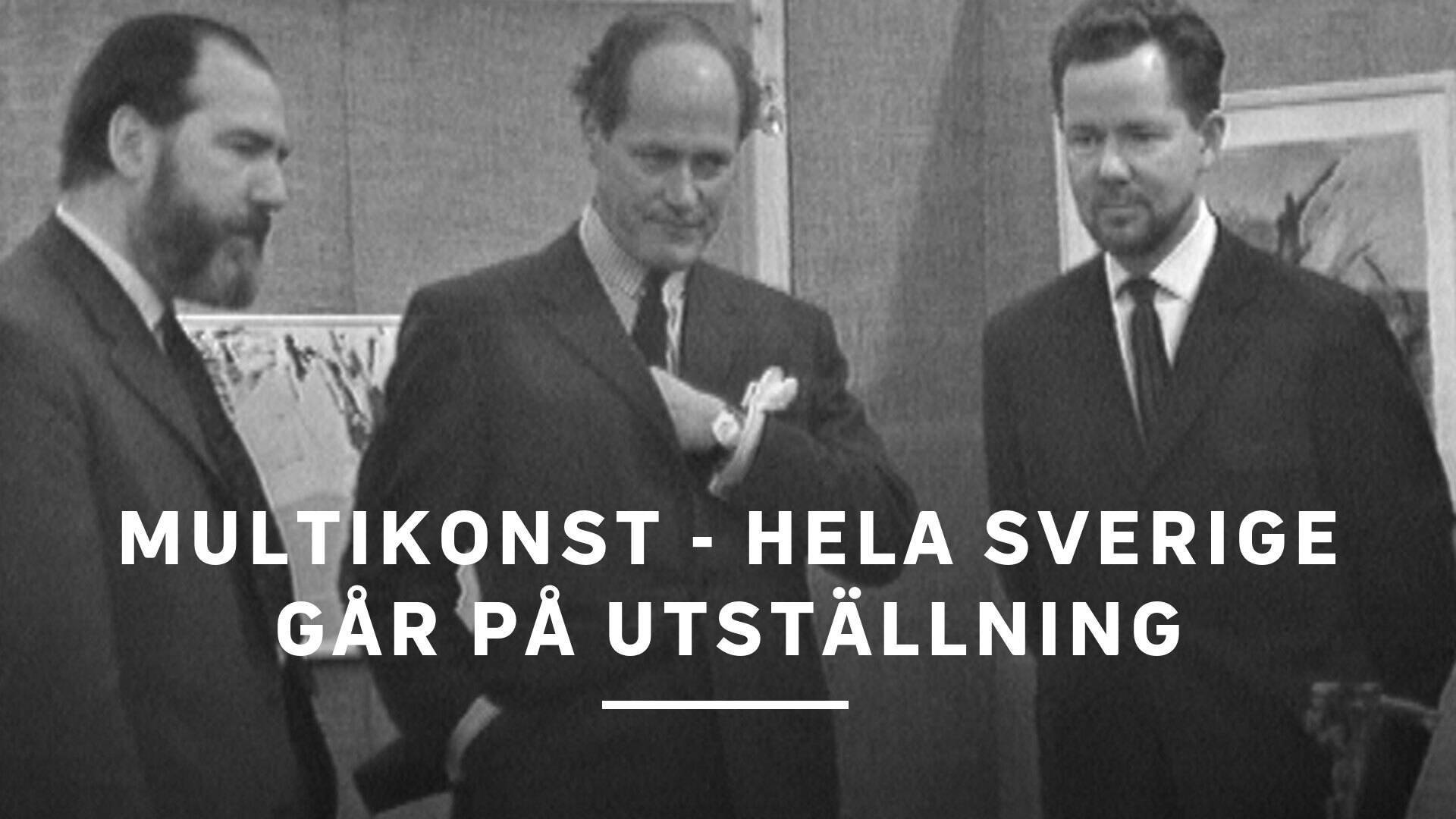 Multikonst - hela Sverige går på utställning
