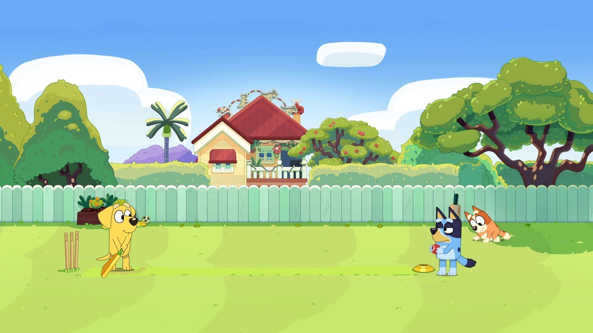 24. Vianočný kriket