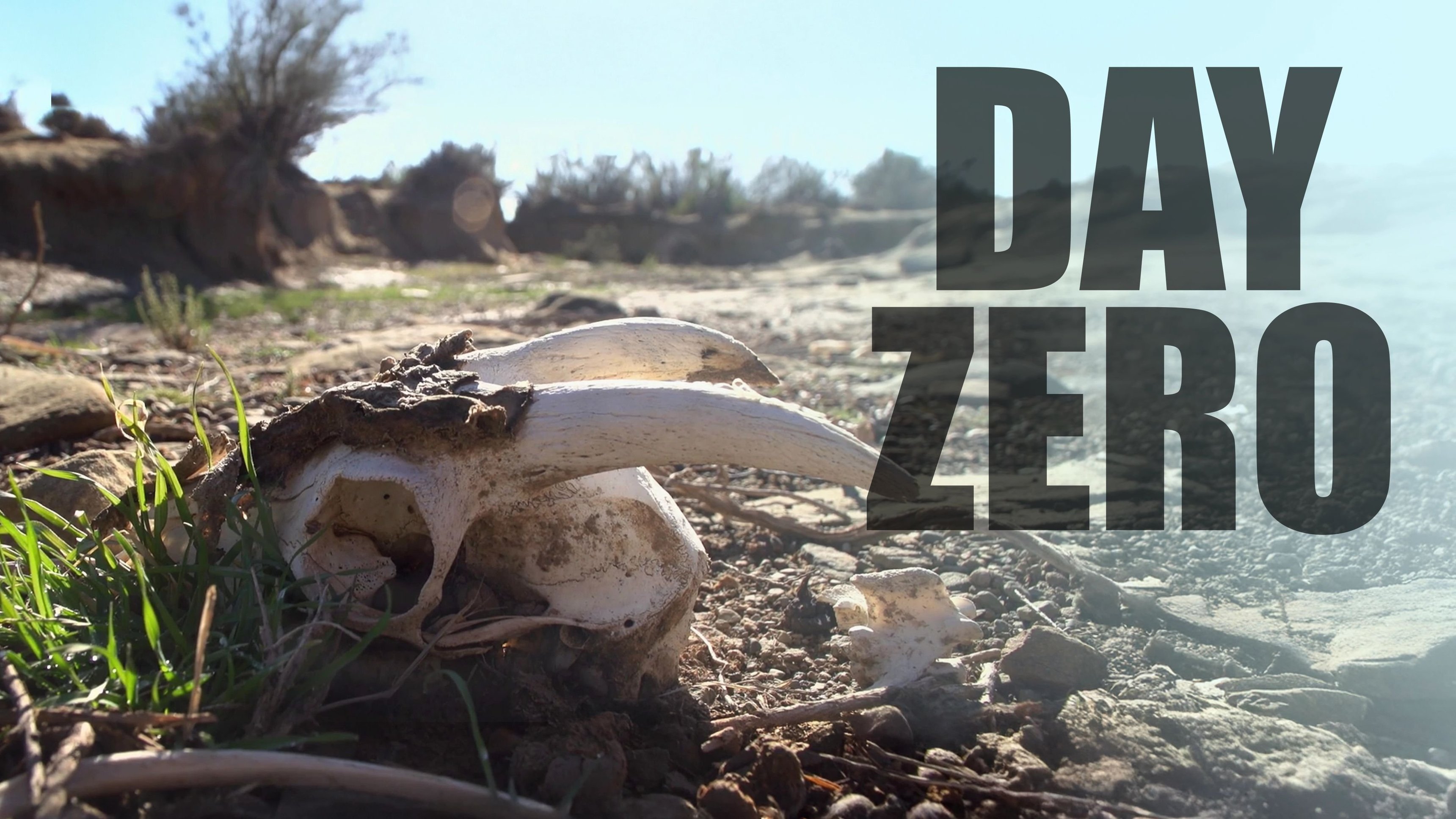 Day Zero