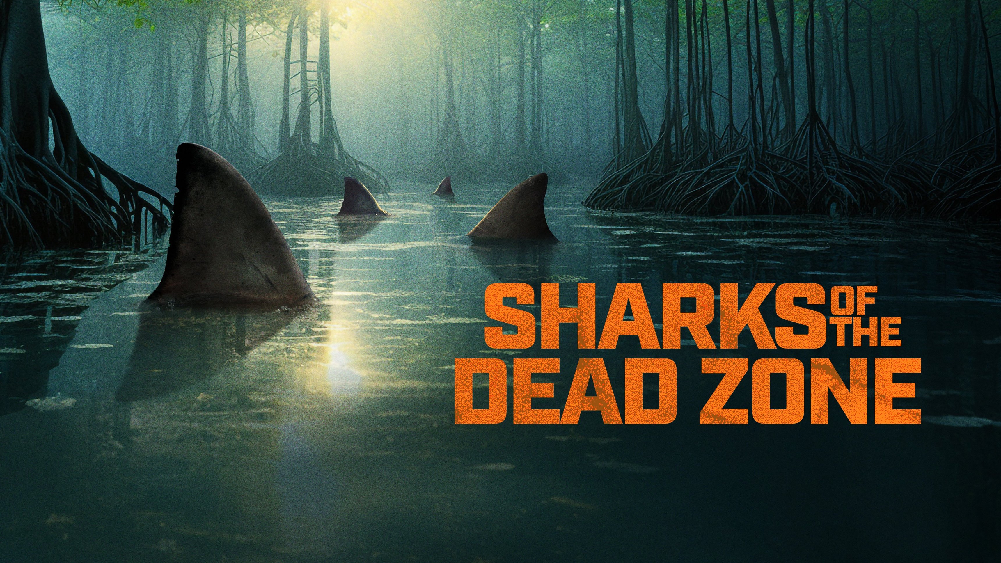 1. Sharks Of The Dead Zone