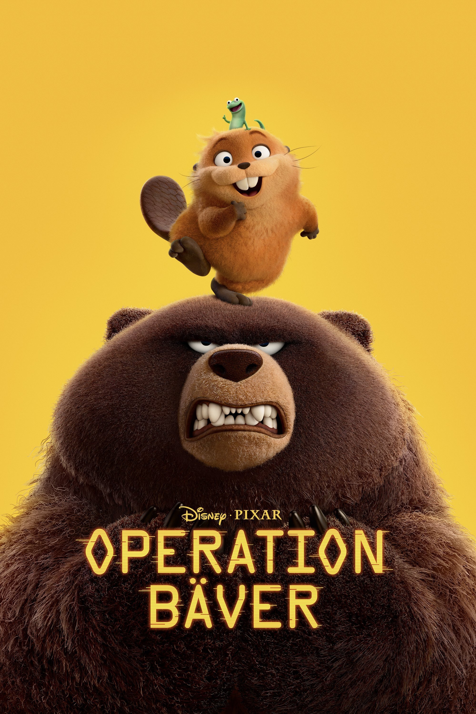 Operation Bäver