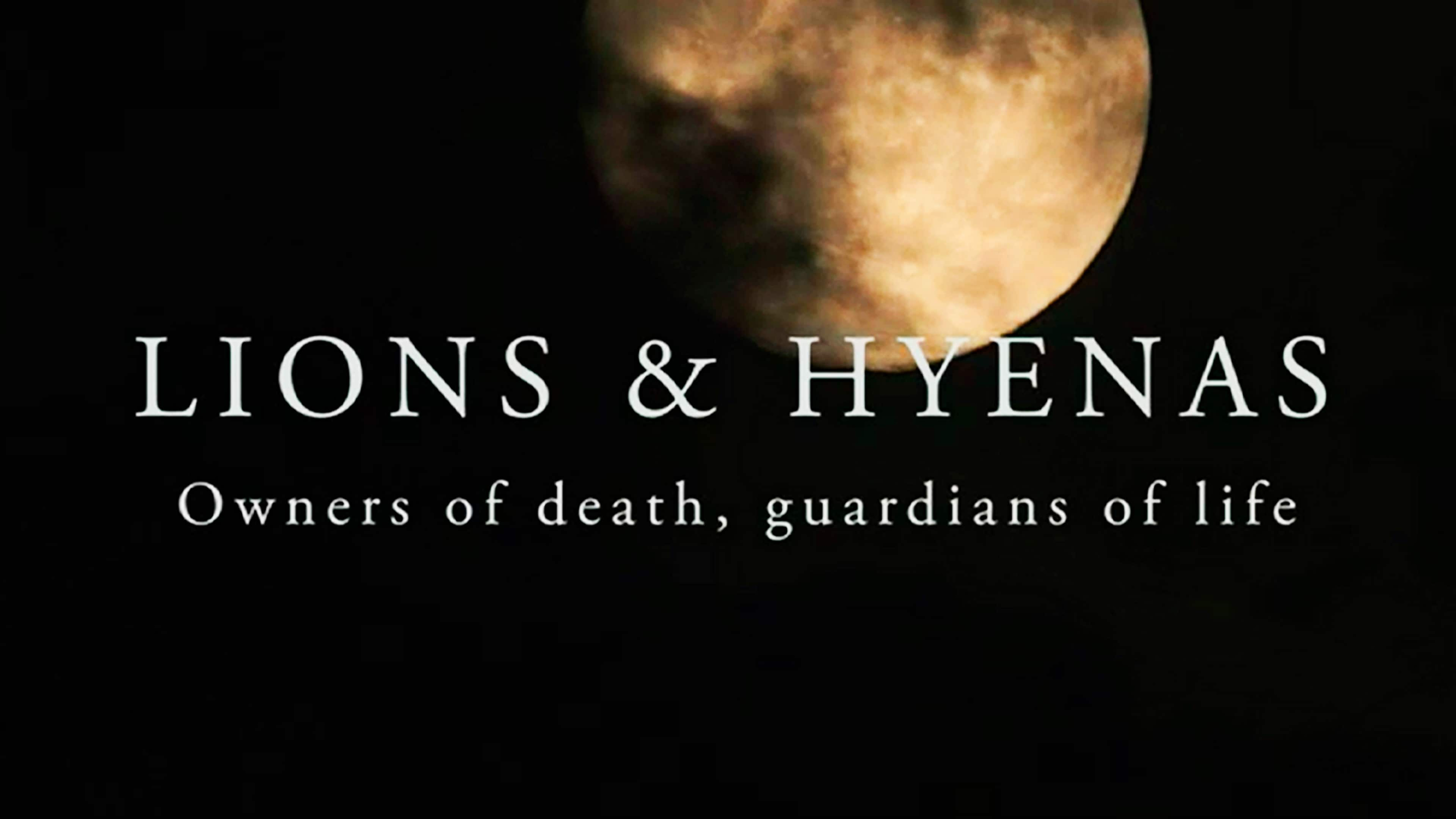 Lejon och hyenor