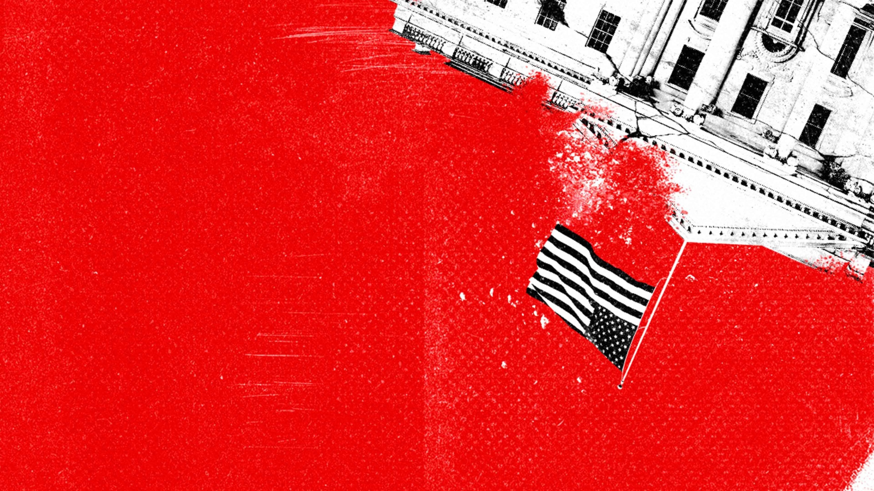 Year One: A Political Odyssey