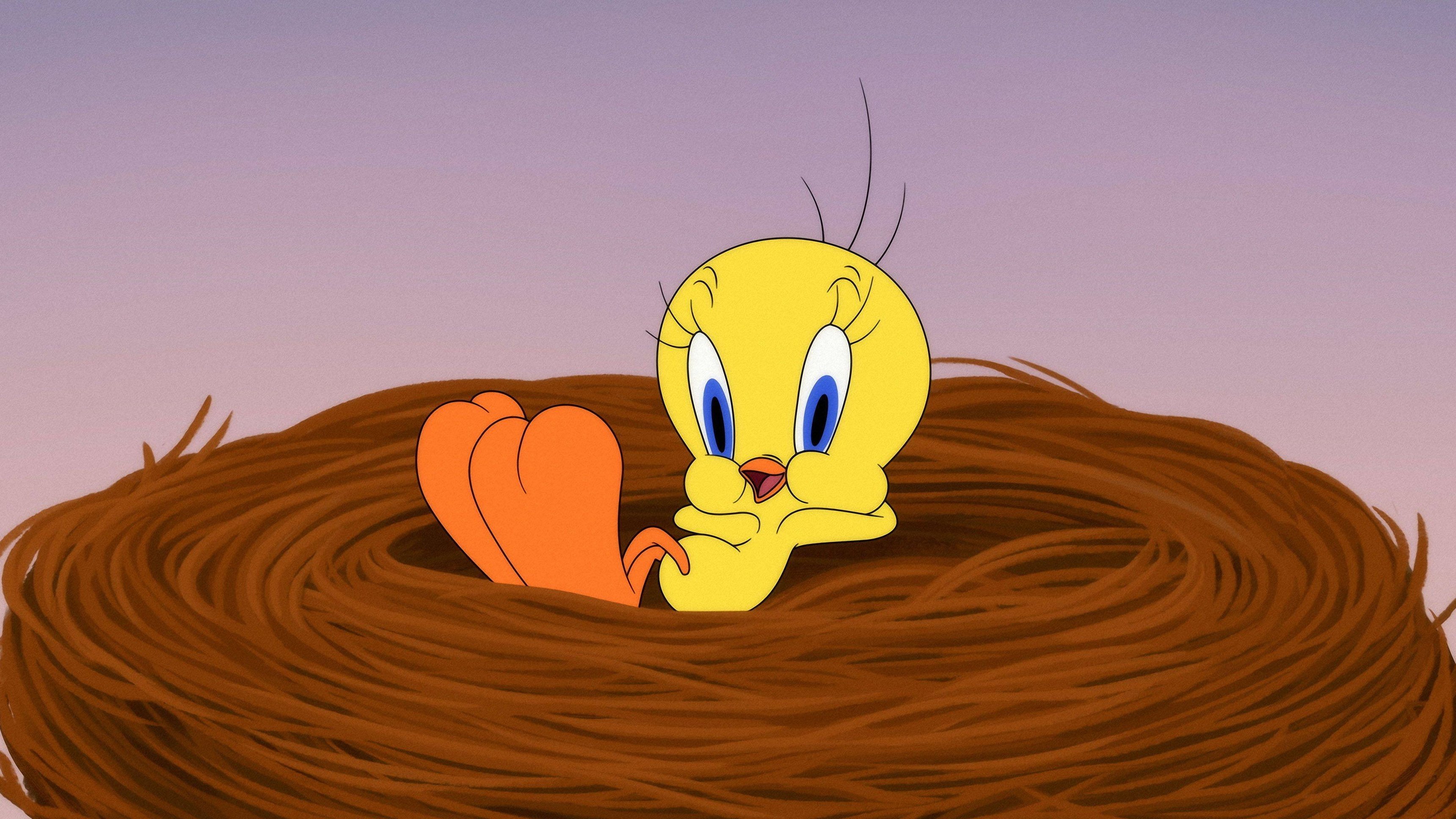 1. Röd, vit och blåslagen / Näbbis Gam: Kanin / Försvinande snabb