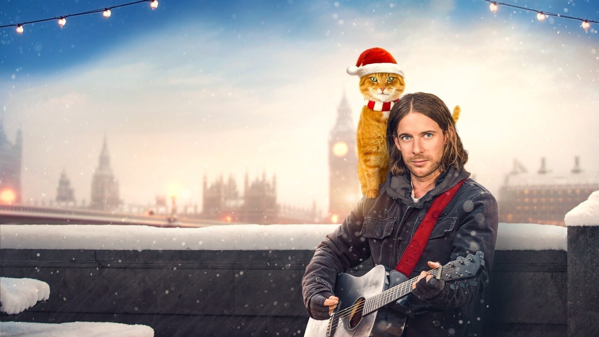 Jul Med Bob